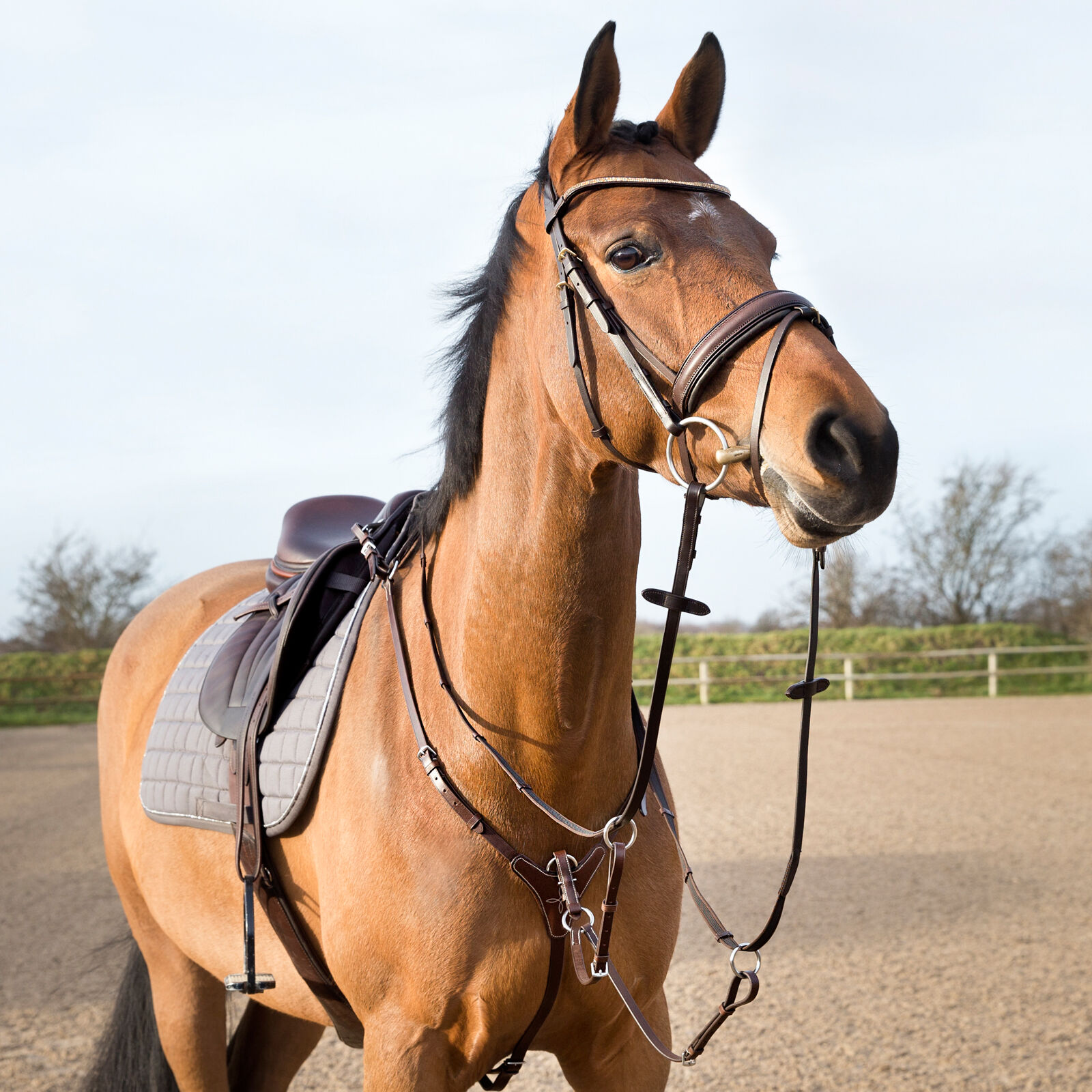 Horze Adjustable Hunting Breastplate, Light Brown, F