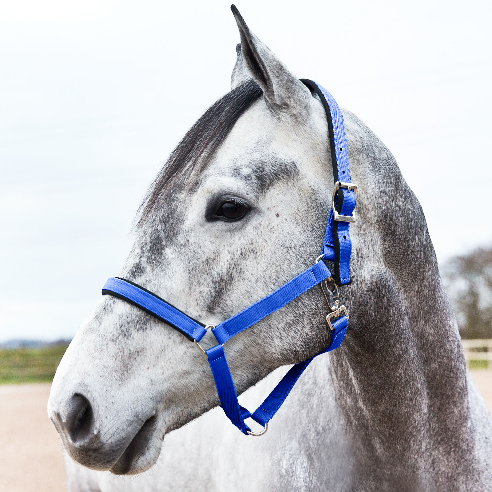 Horze Supreme Halster met voering