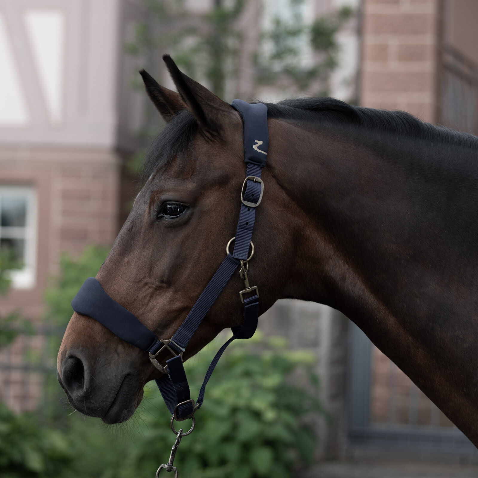 Horze Graz Halter, Peacoat Dark Blue, P