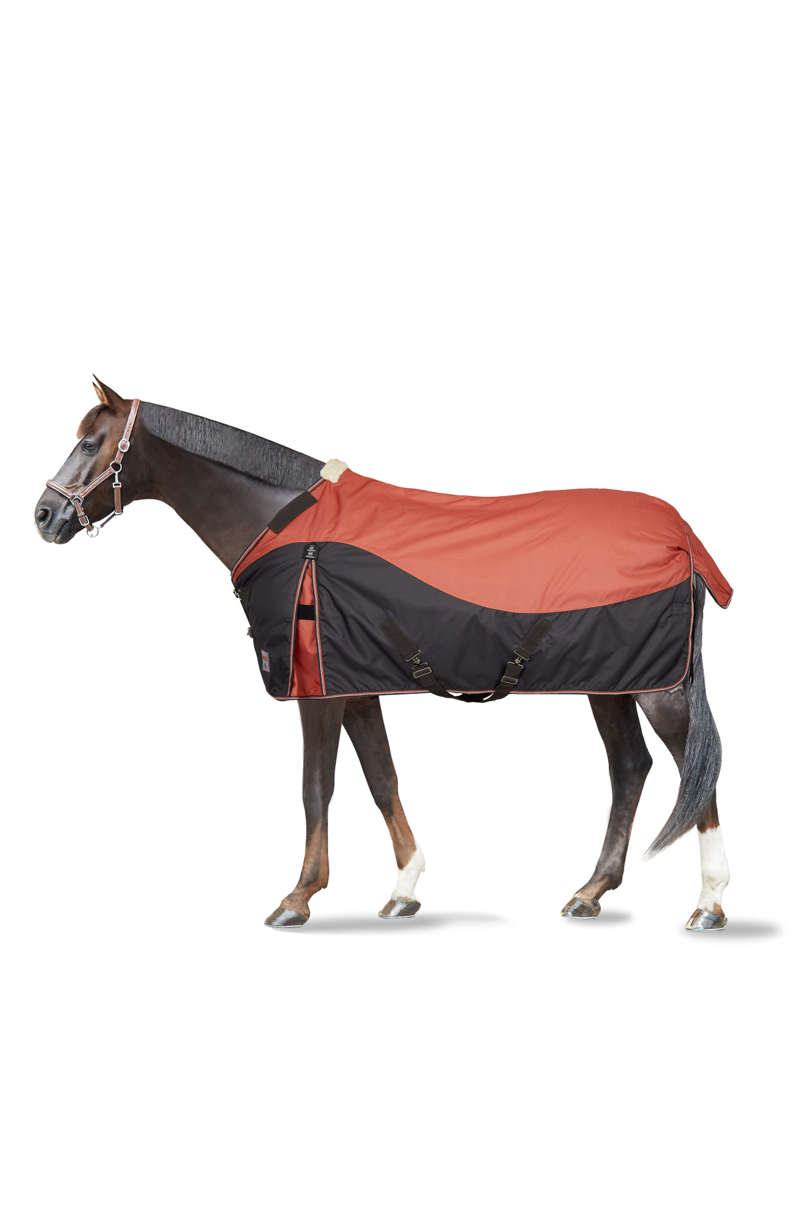 Horze Lucerne Turnout Rug, 150g
