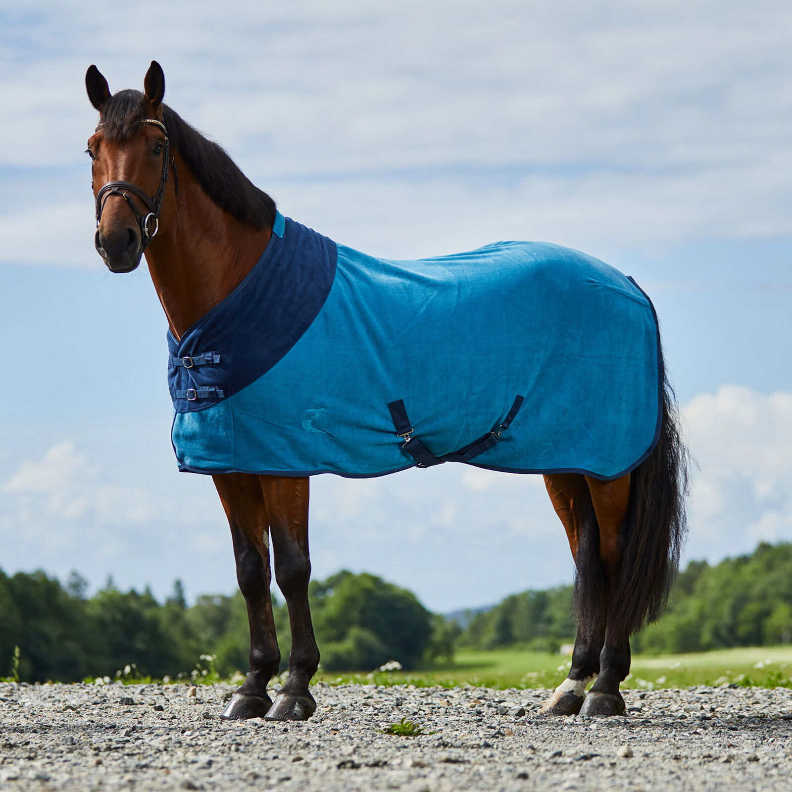 Horze Turin Fleece Rug, Petrol Blue, 145