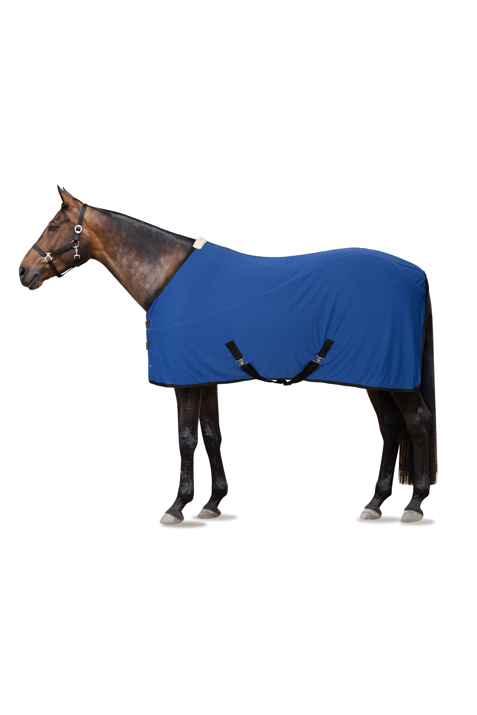 Horze LIMITÁLT KIADÁSÚ Szellőző Takaró, Royal Blue, 155