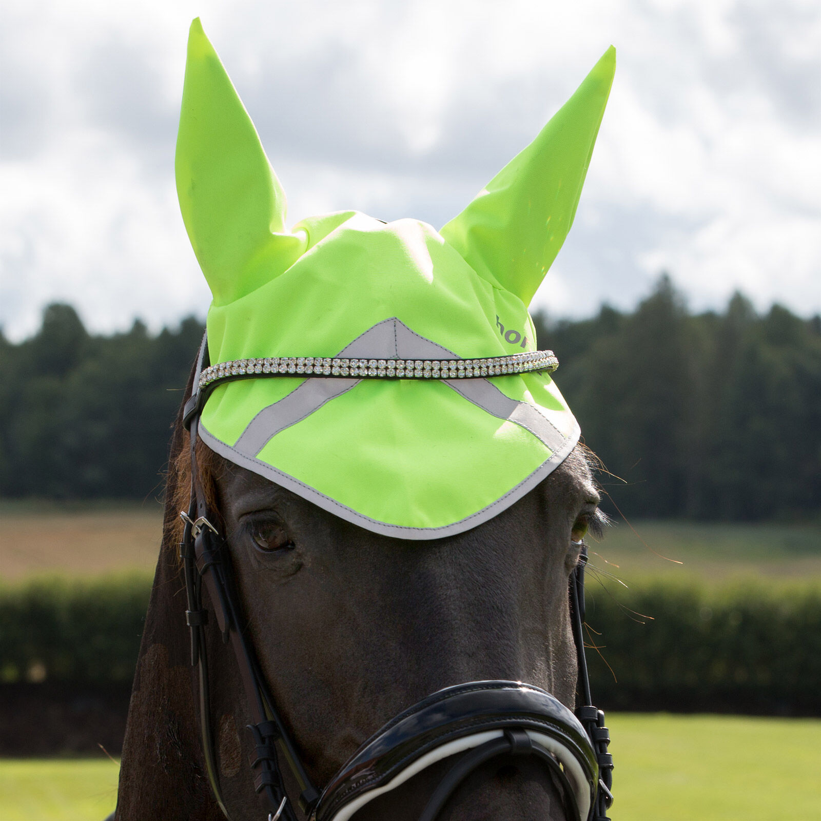 Horze Reflective Ear Net, Yellow, F