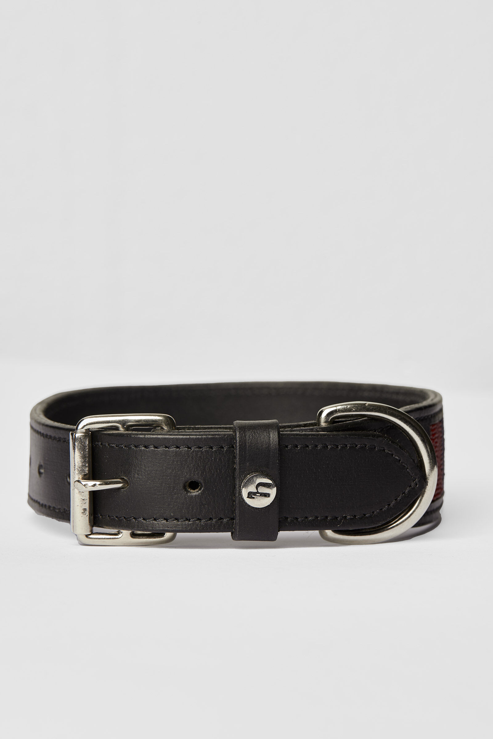 Collier pour chien Horze Noir avec étoiles, Black/Stripe, 35