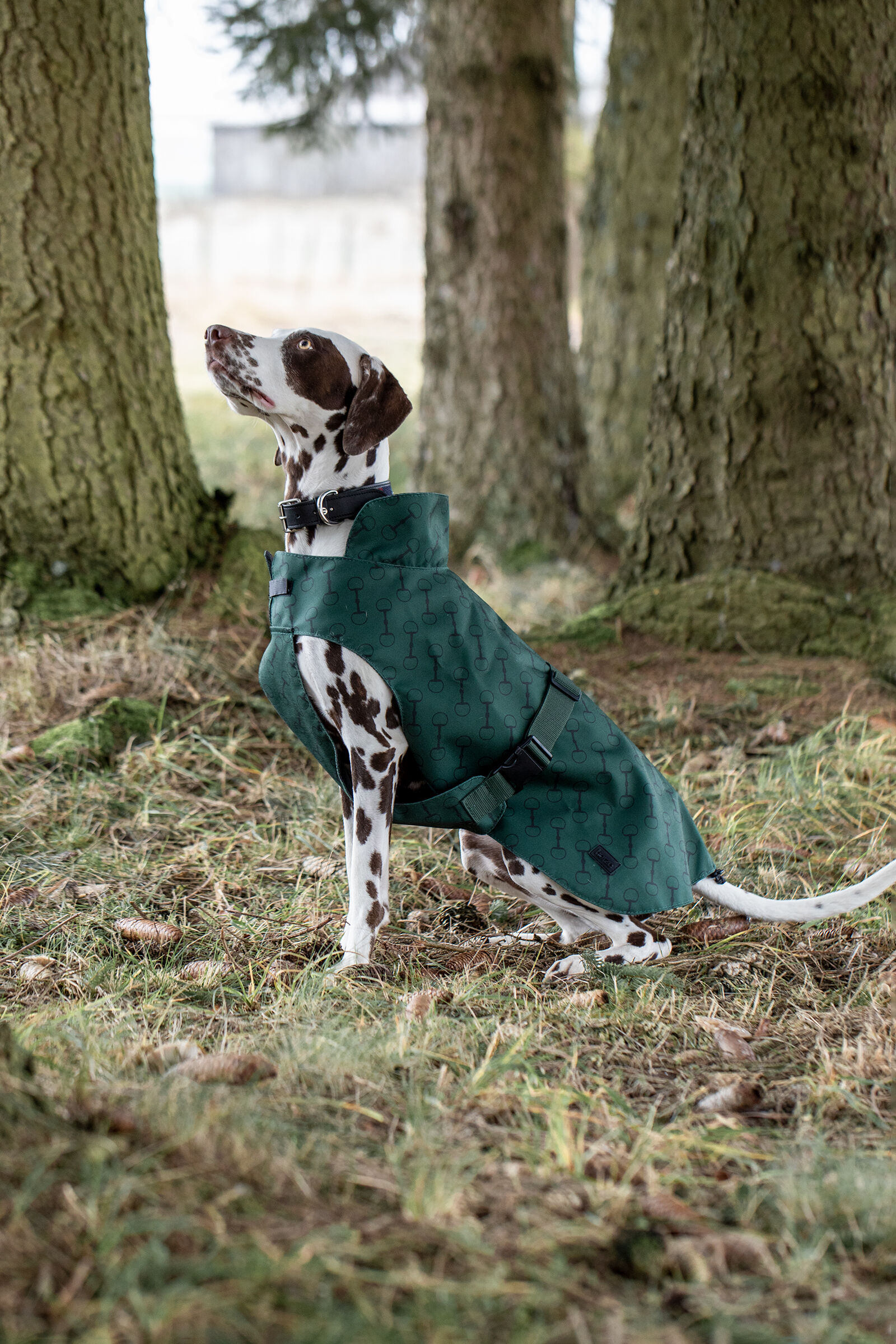 Manteau pour chien Horze Noir avec impression, Mountain View Green, 30