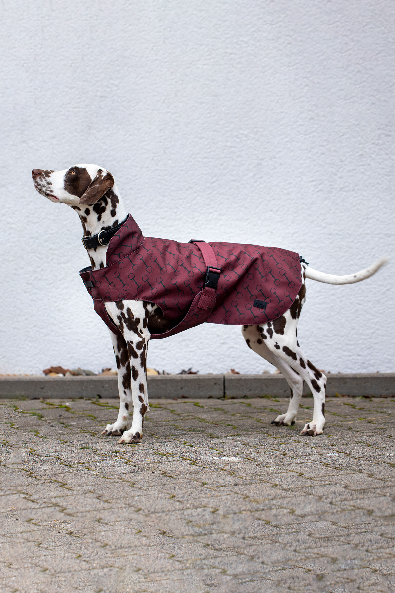 Horze Noir Dog Coat with Print, Burgundy Red Mahogany, 30