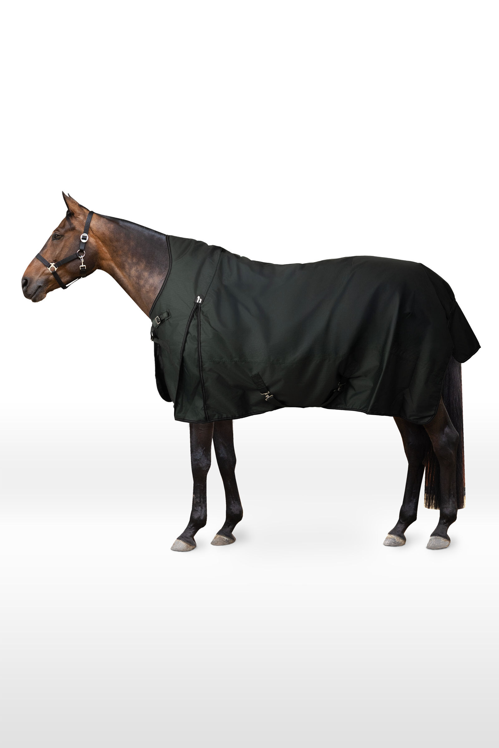 Horze Helsinki Turnout Rug With Half Neck, 100 g
