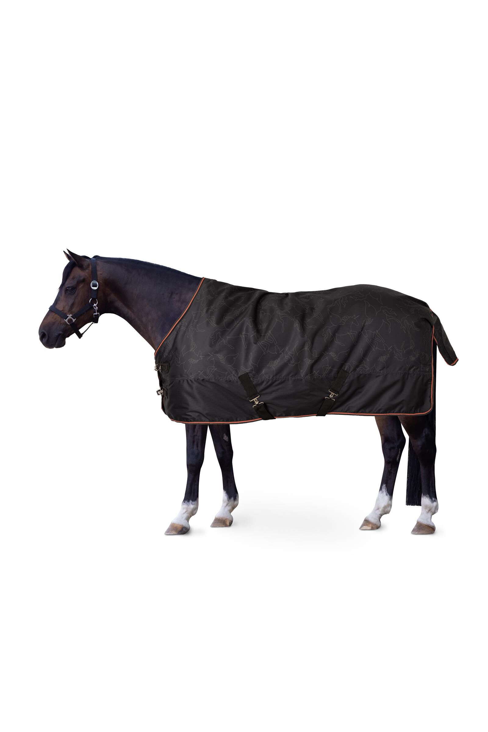 Couverture imperméable Horze Pegasus pour poney 200 g/m²