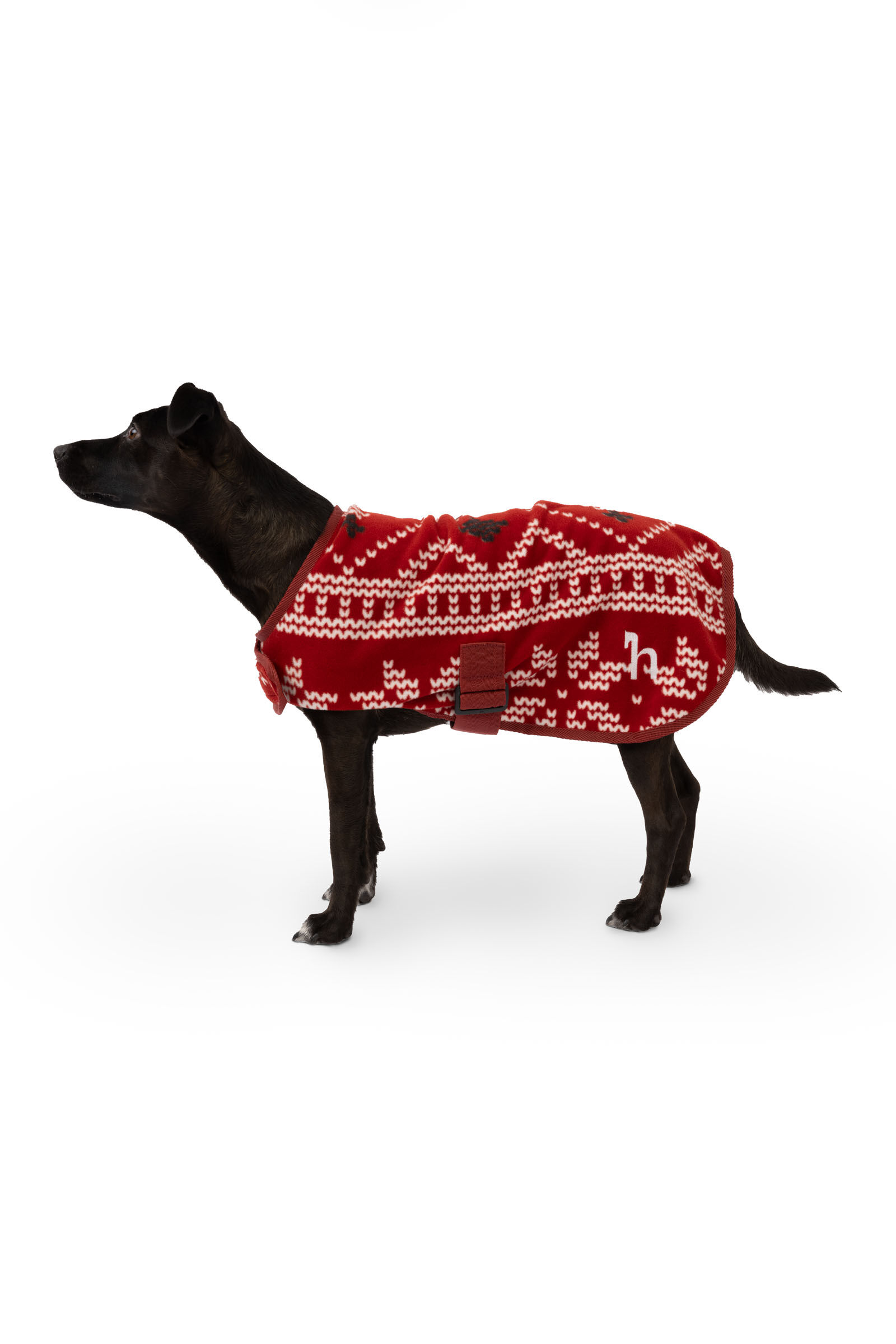 Pull de Noël pour chien Horze