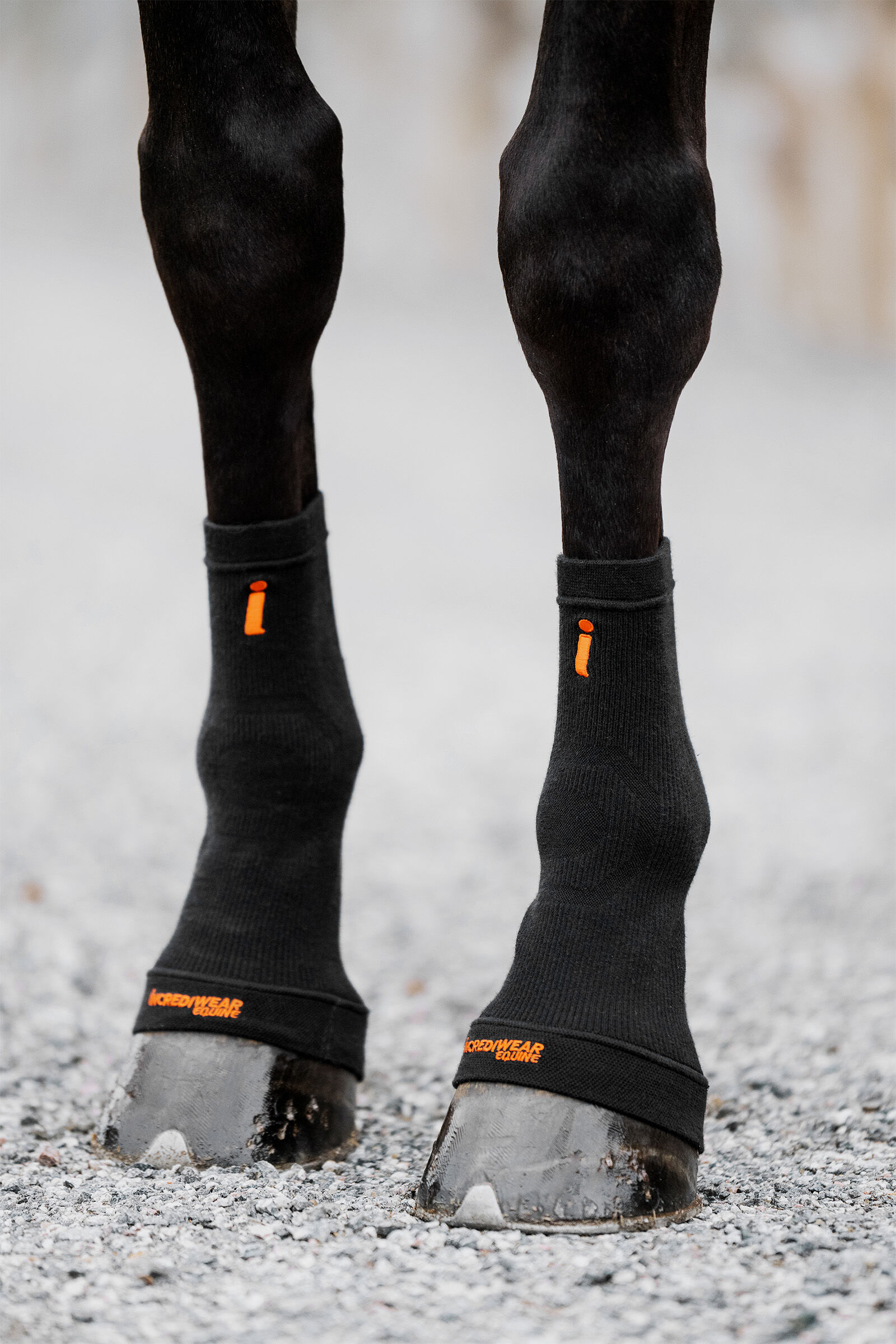 Incrediwear Circulation Hoof Socks