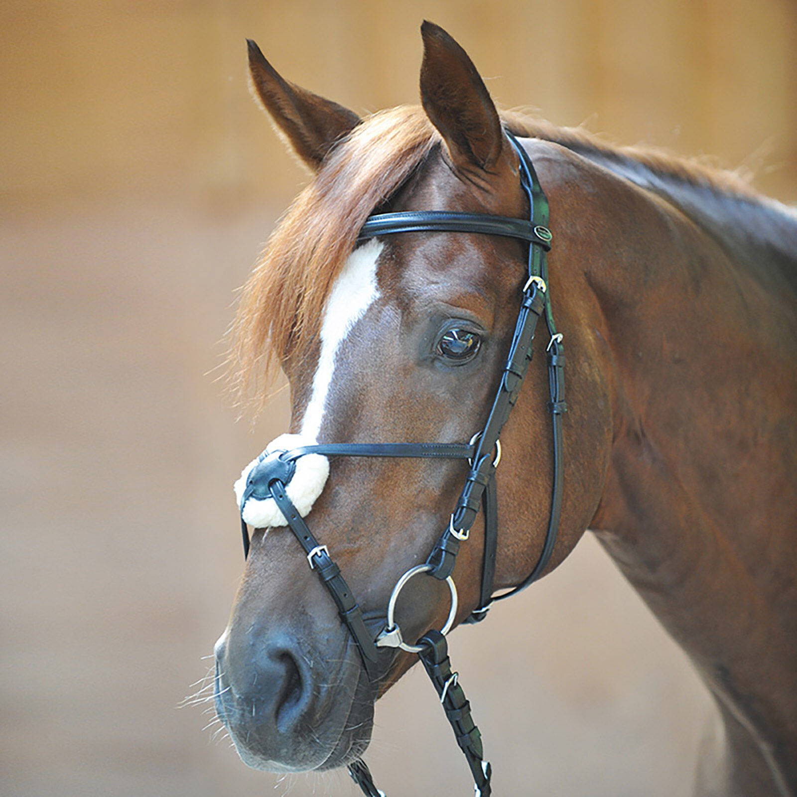 Kavalkade Bridle Carlos mexican, Black, F