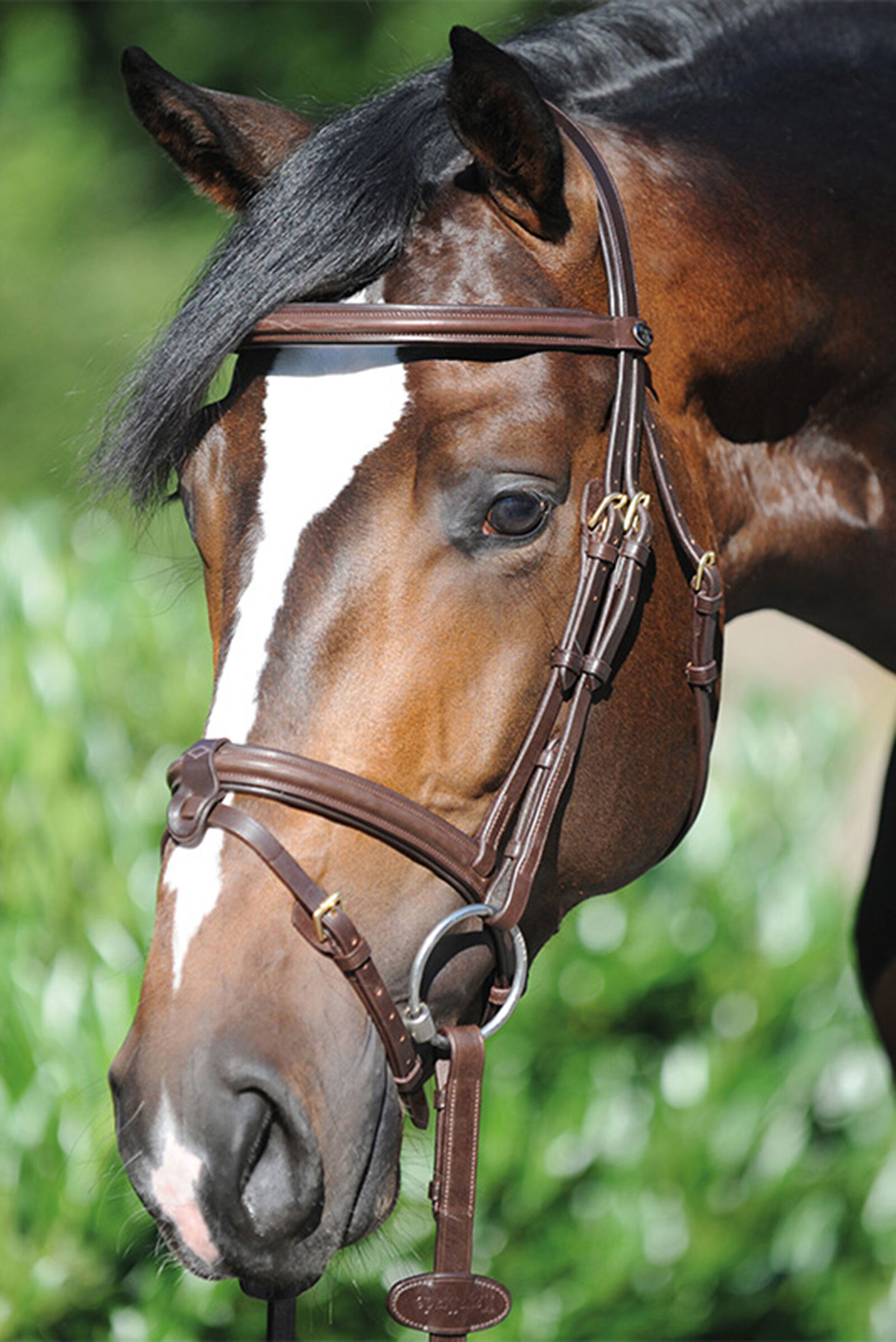 Kavalkade Lorenz Trense  Brown C