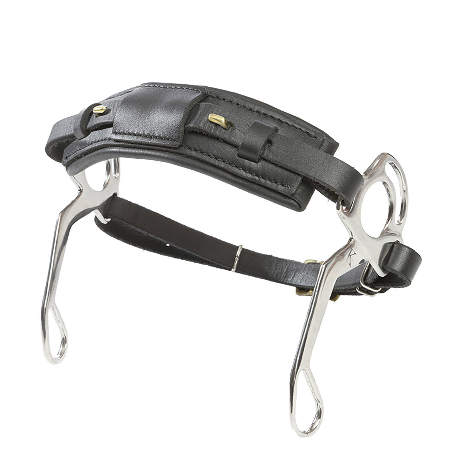 Kavalkade KavalBits hackamore