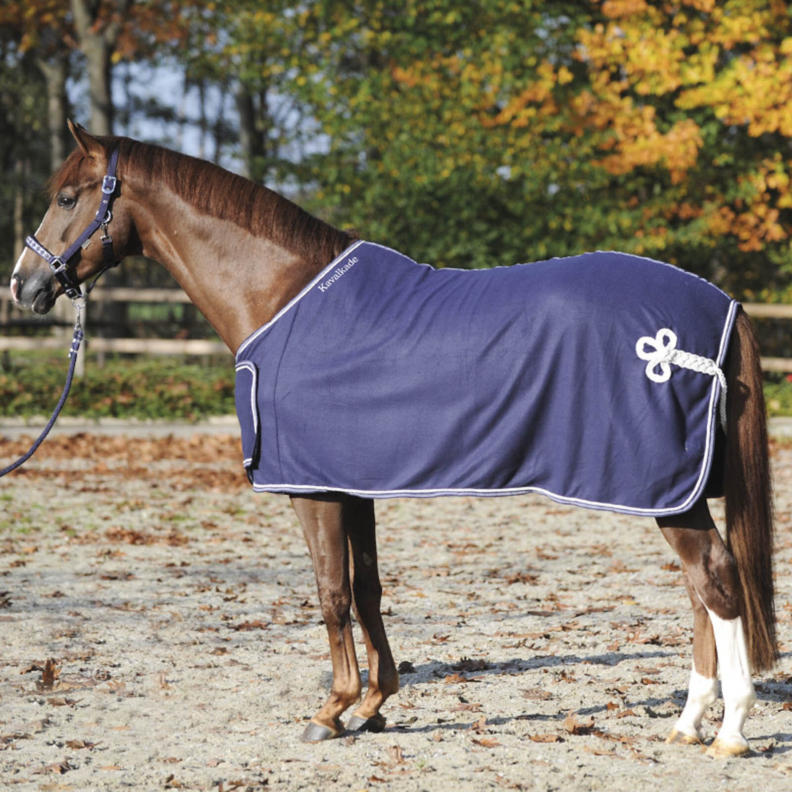 Kavalkade Cooler with Chest Bib, Dark Blue/White, 125