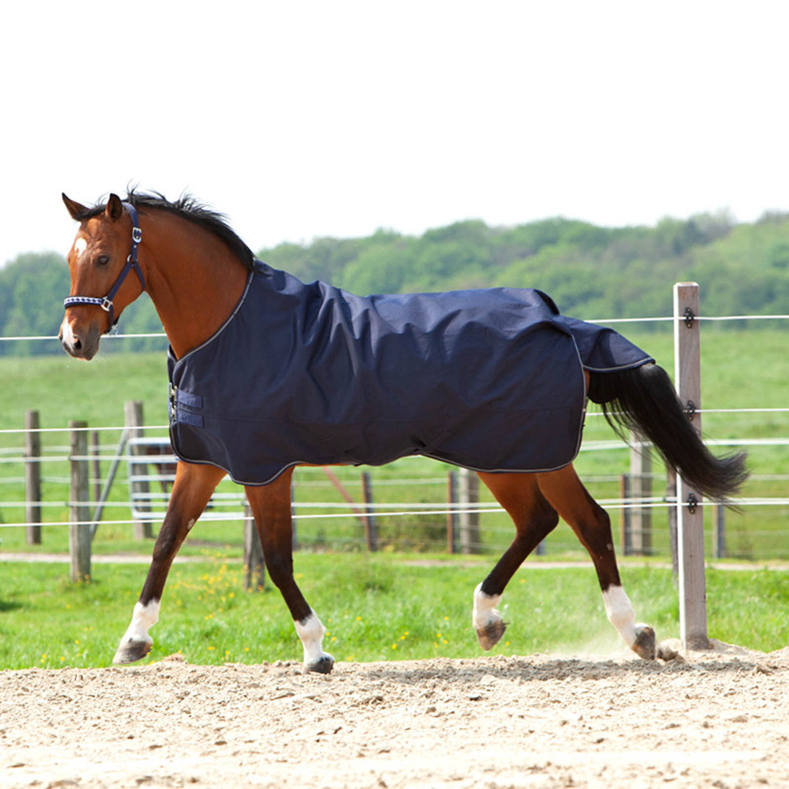 Kavalkade Medium & Heavyweight Turnouts