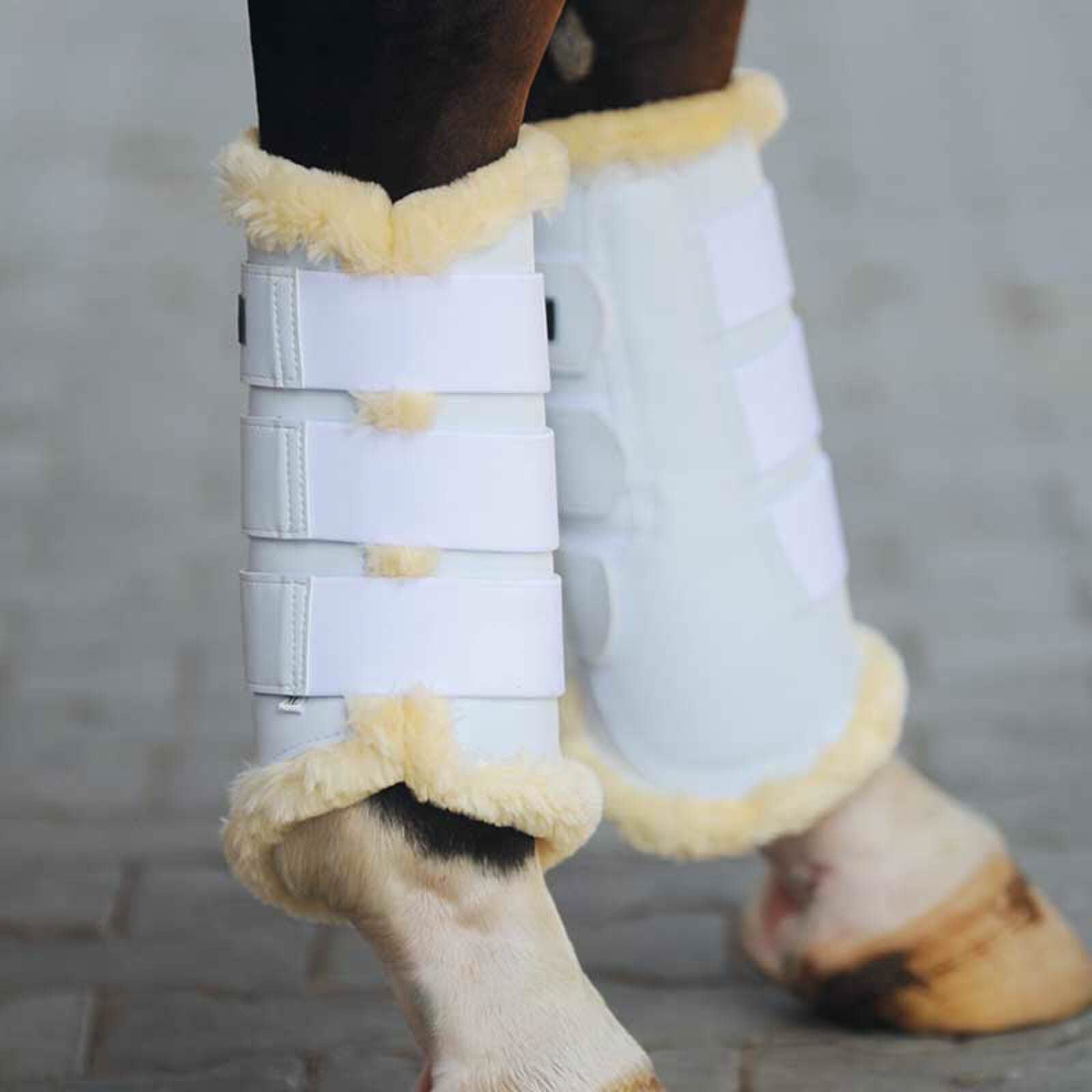 Kavalkade Show Brushing Boots, WH/AB, L