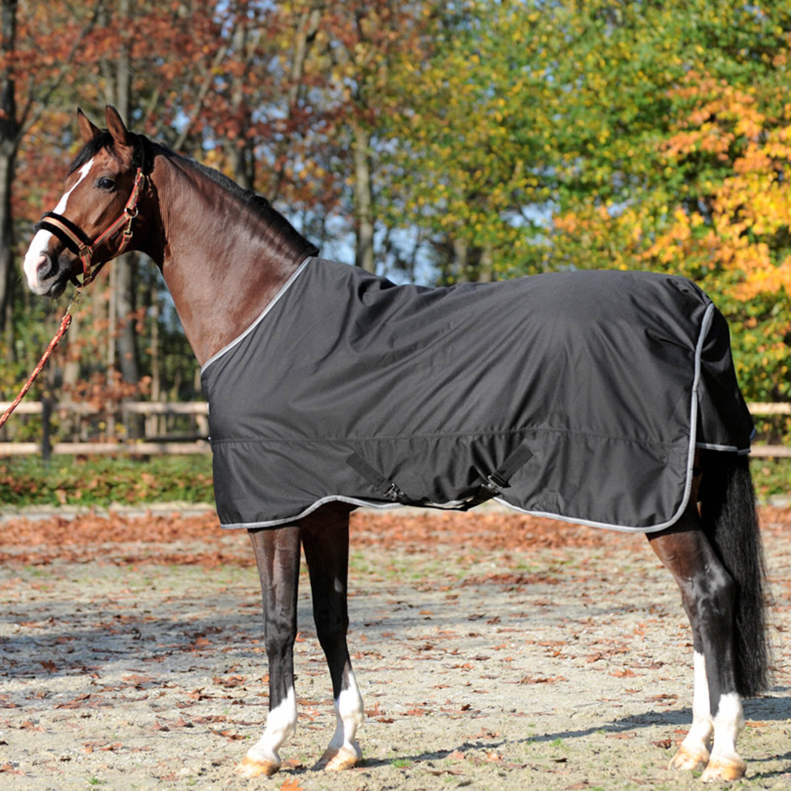 Kavalkade Winnipeg Turnout Rug, 50g, Black, 155