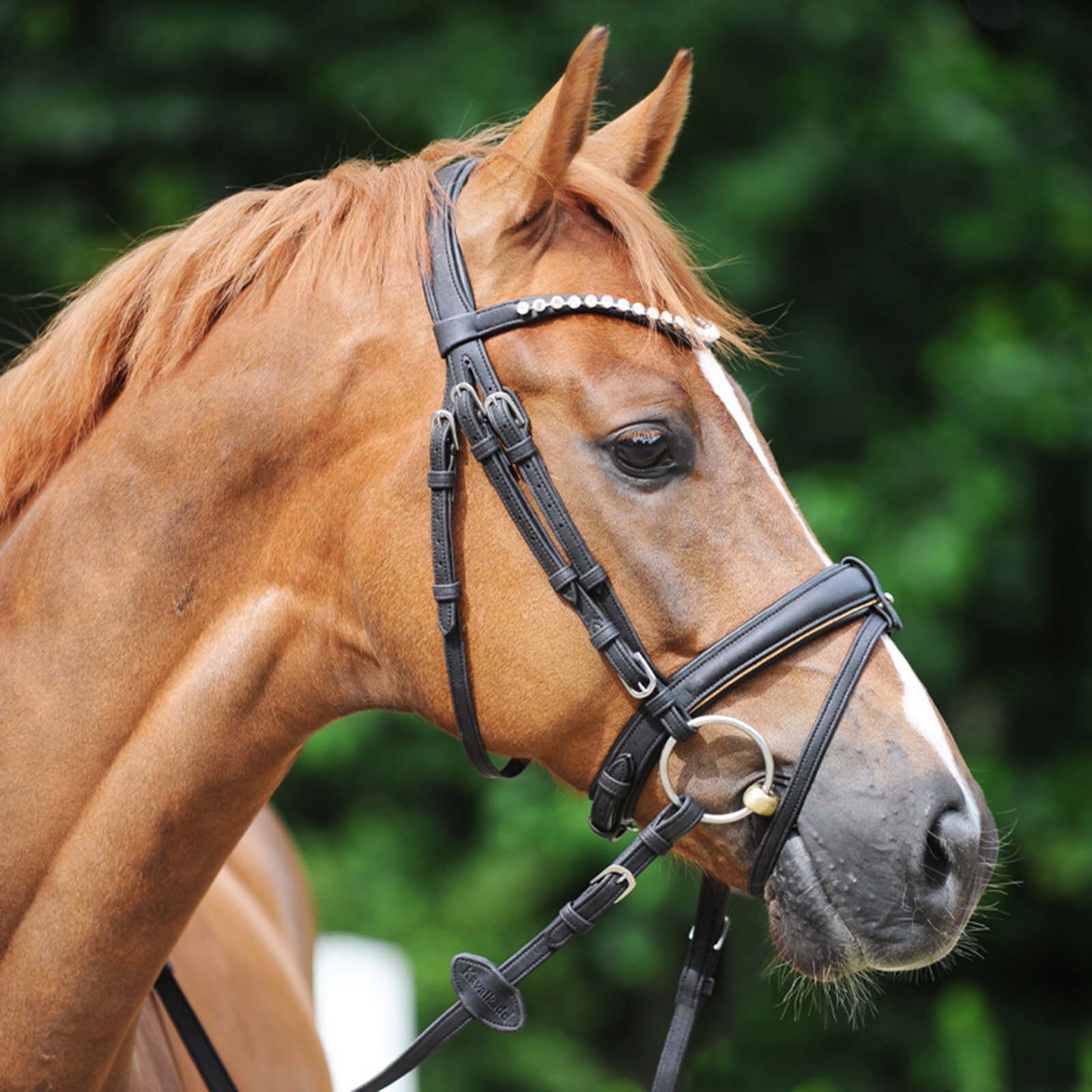 Kavalkade Cortica Vegan Cork Reins, Black, P