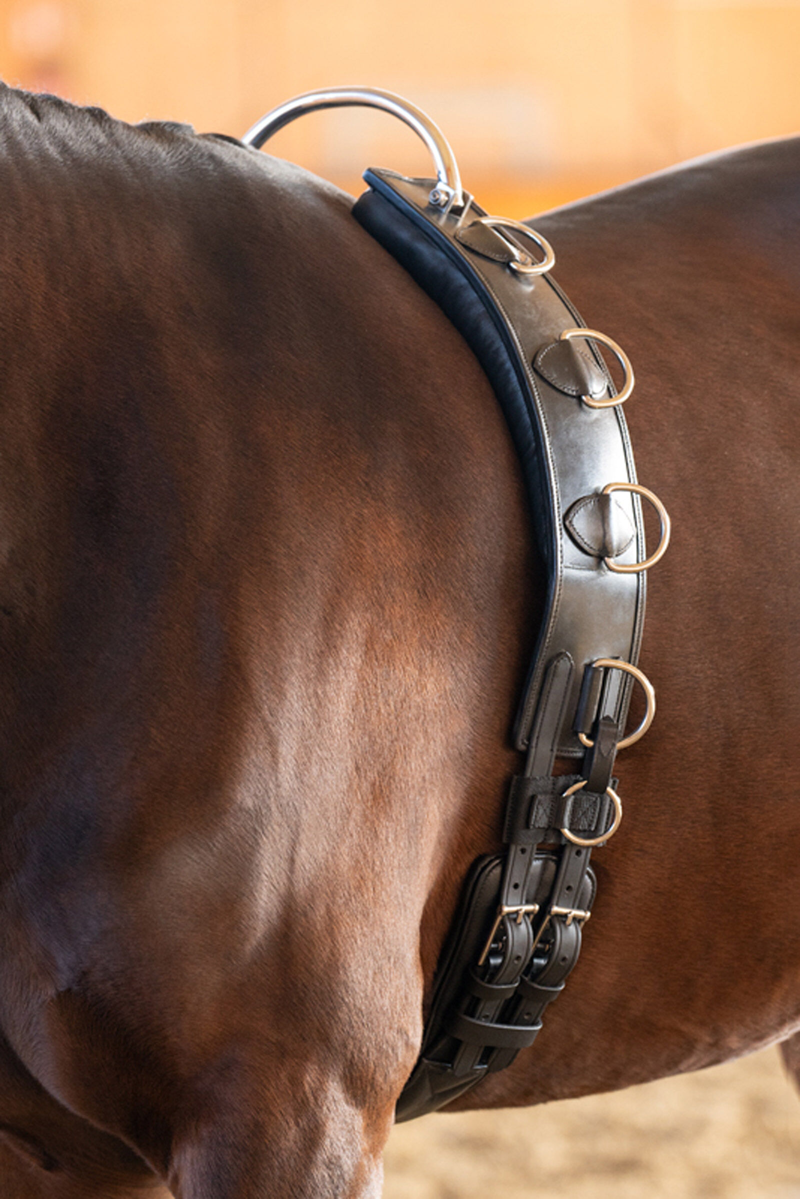 Kavalkade Leather Lungeing Girth With Frame