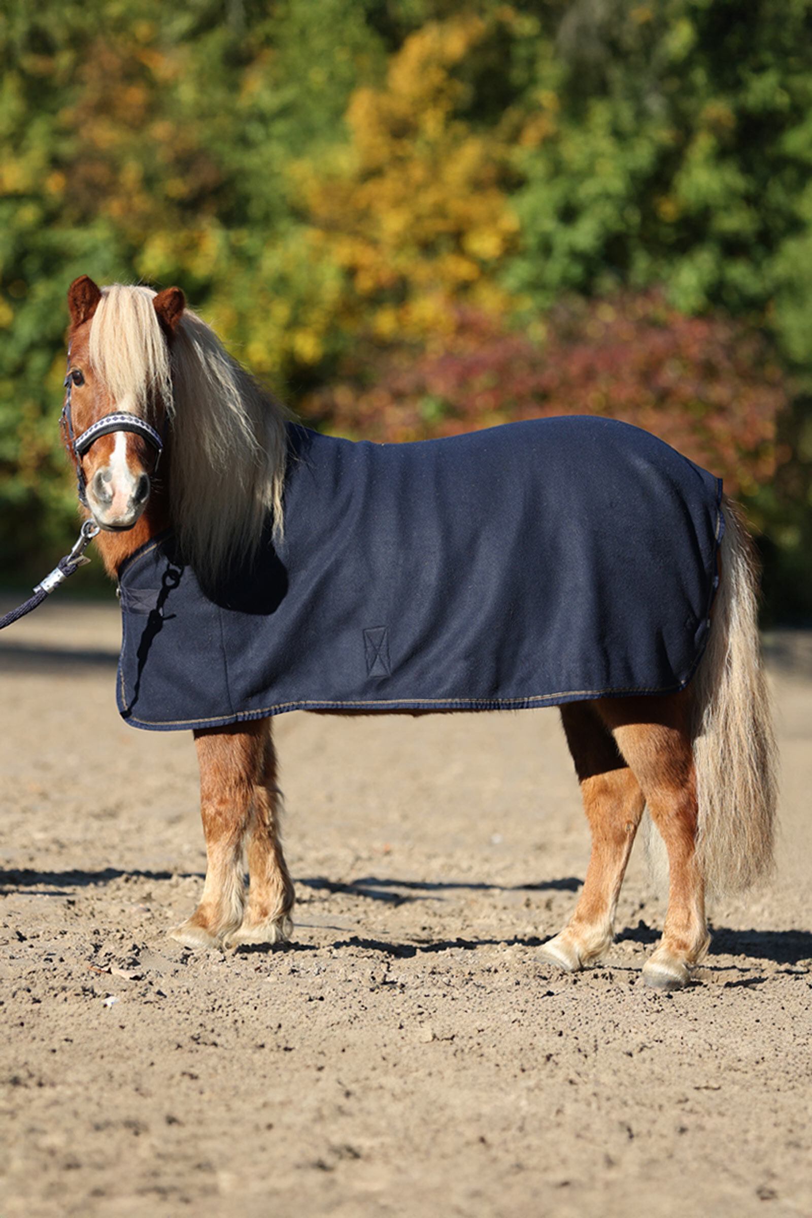 Couvertures Poney Kavalkade, DB/AB, 100