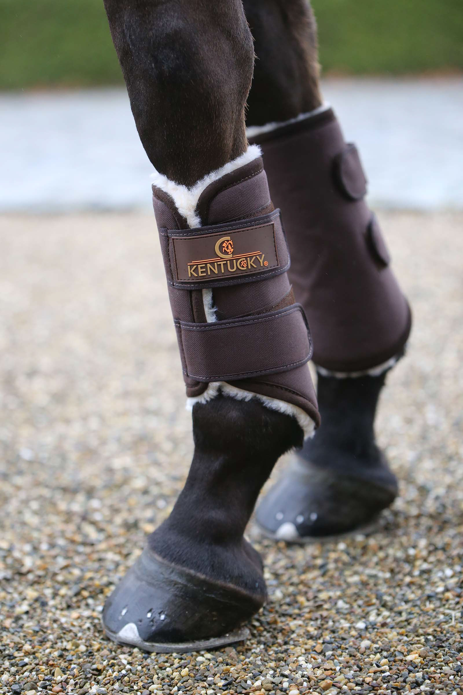 Kentucky Horsewear Solimbra Turnout Boots, Hind, Brown, F