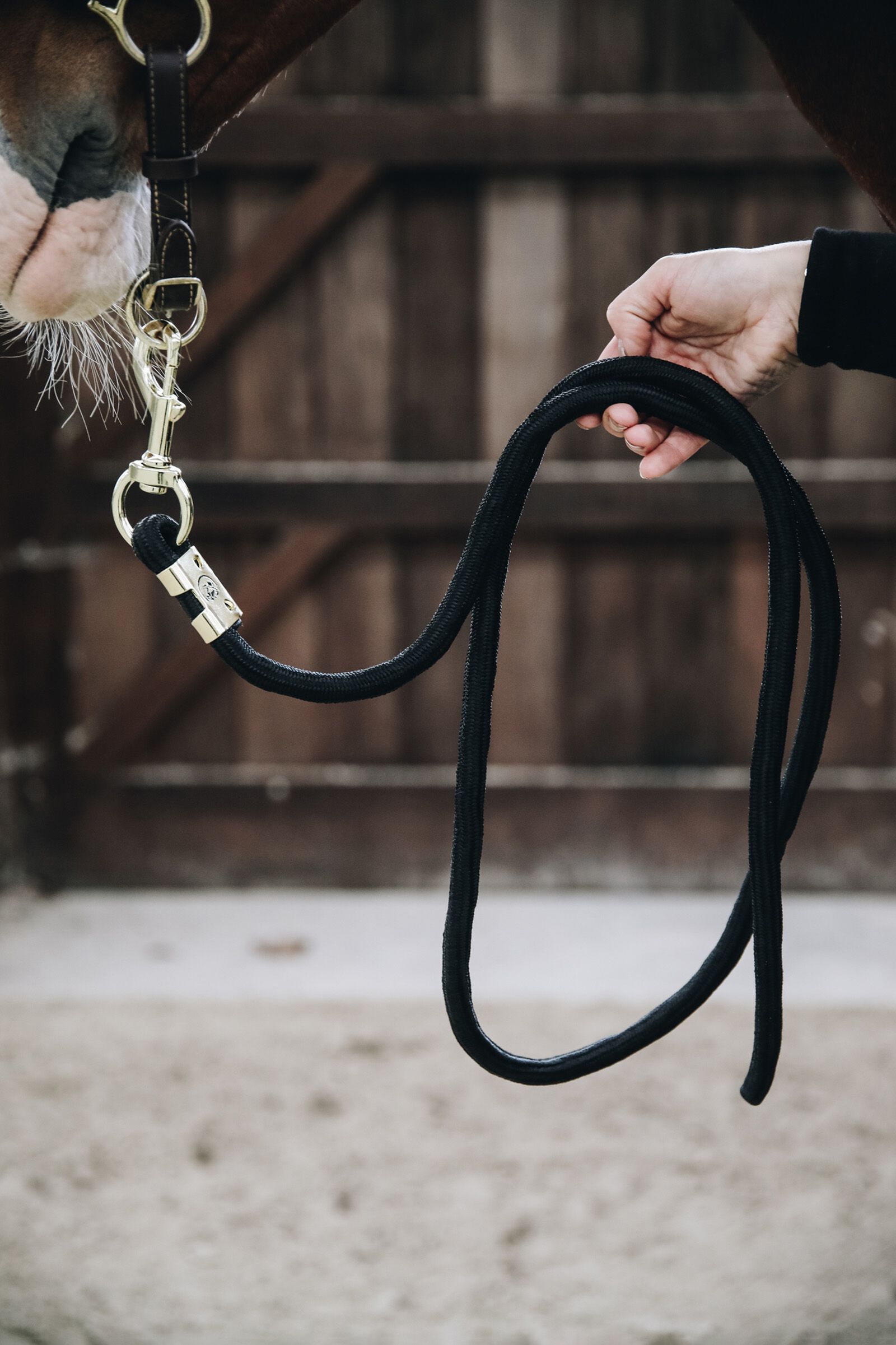 Kentucky Horsewear Lead rope basic 2m, Black, F