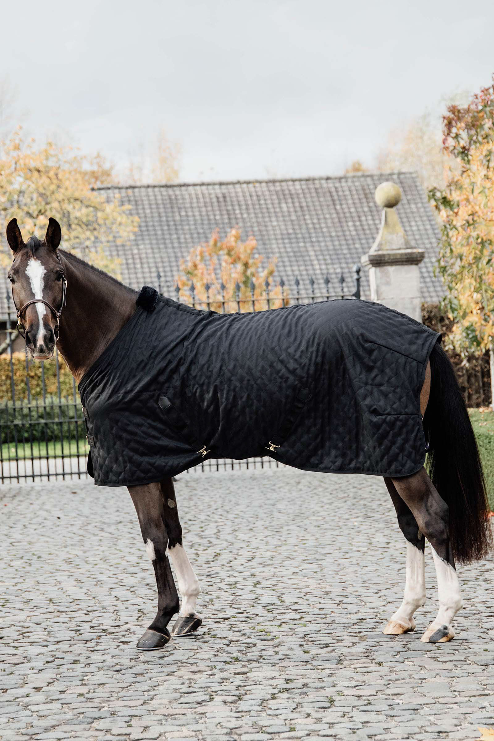 Coperta da scuderia Kentucky Horsewear, 0 g, Black, 125