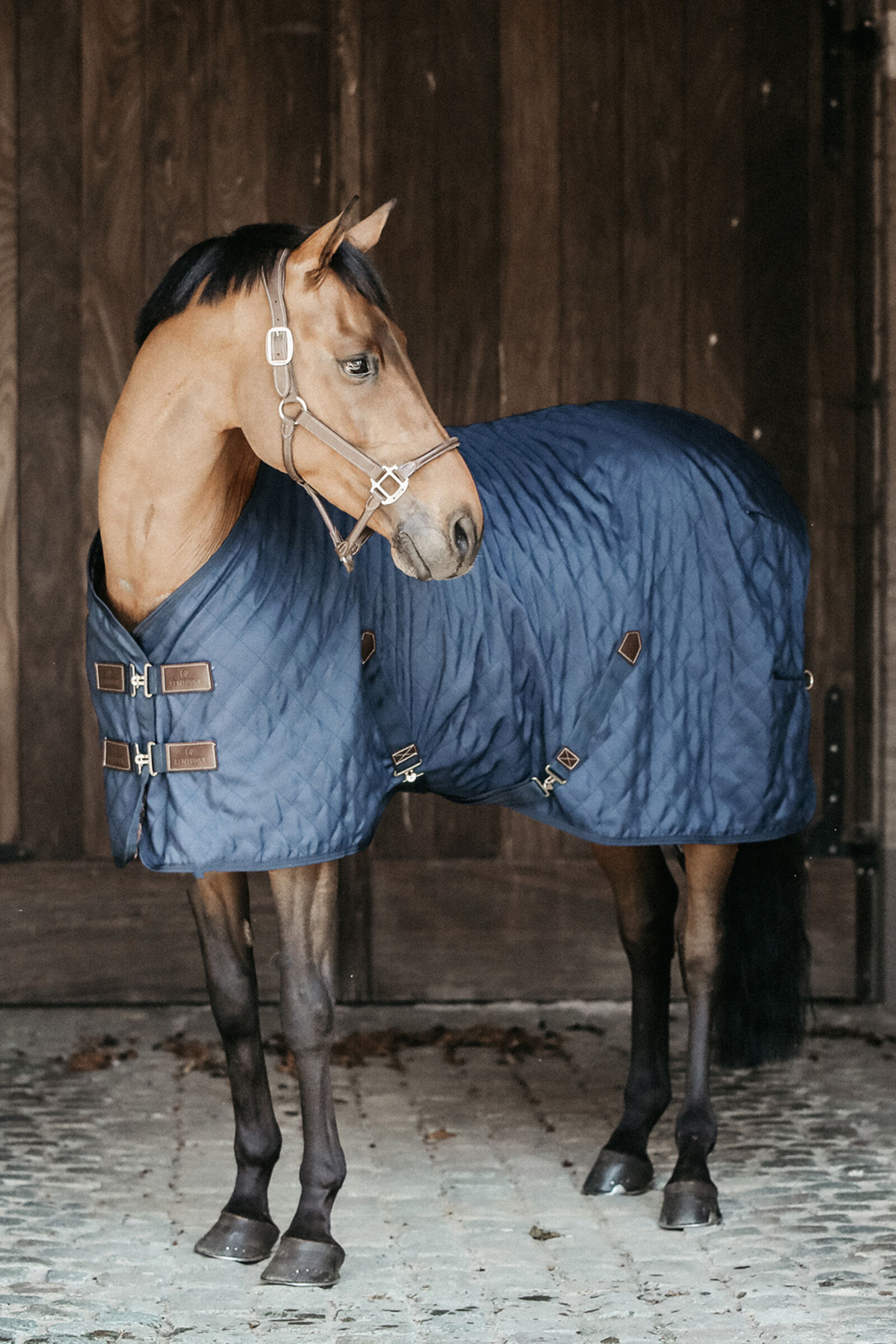 Coperta da scuderia Kentucky Horsewear, 0 g, DB/AB, 160
