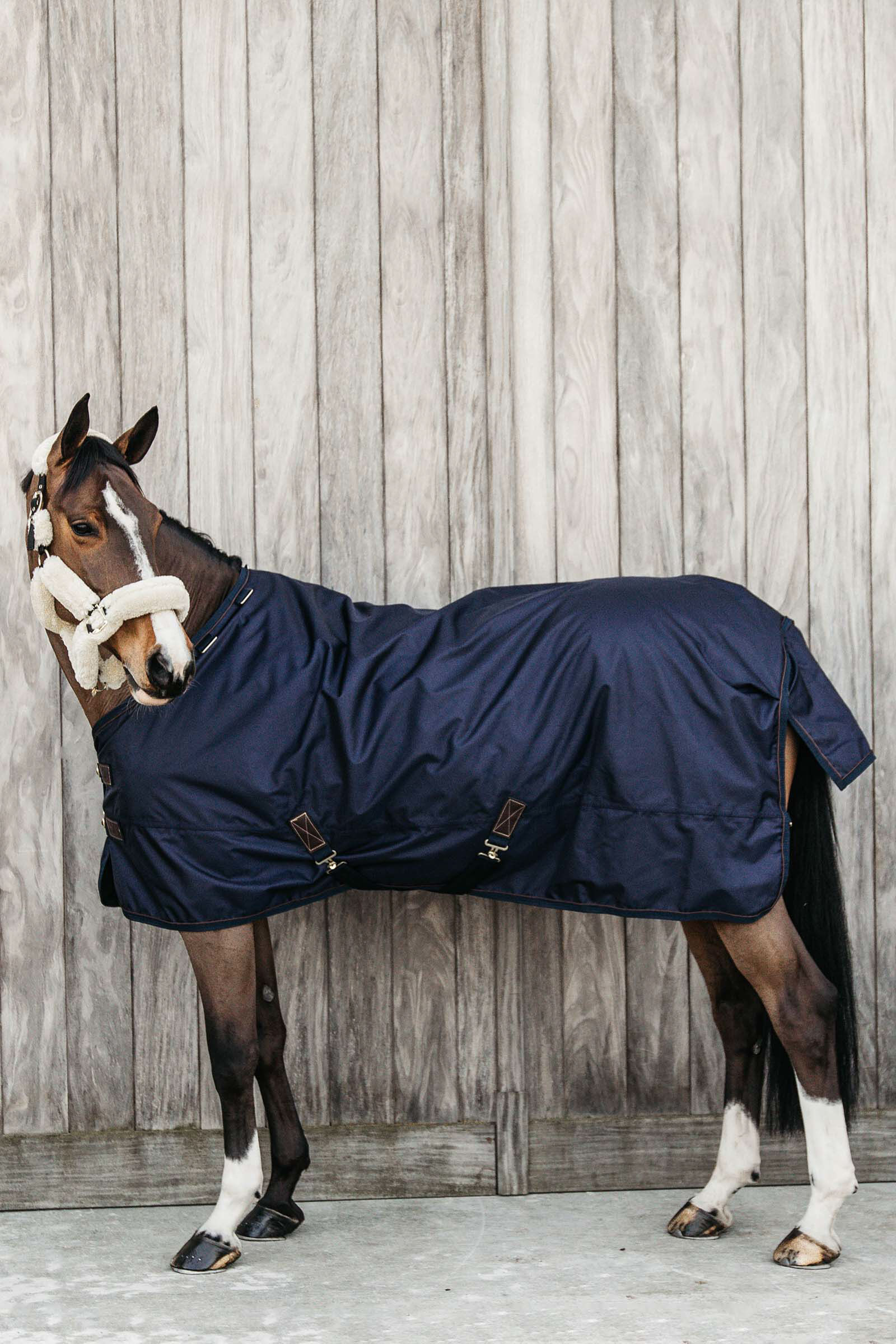 Kentucky Horsewear Turnout rug all weather waterproof pro 160g, DB/AB, 125