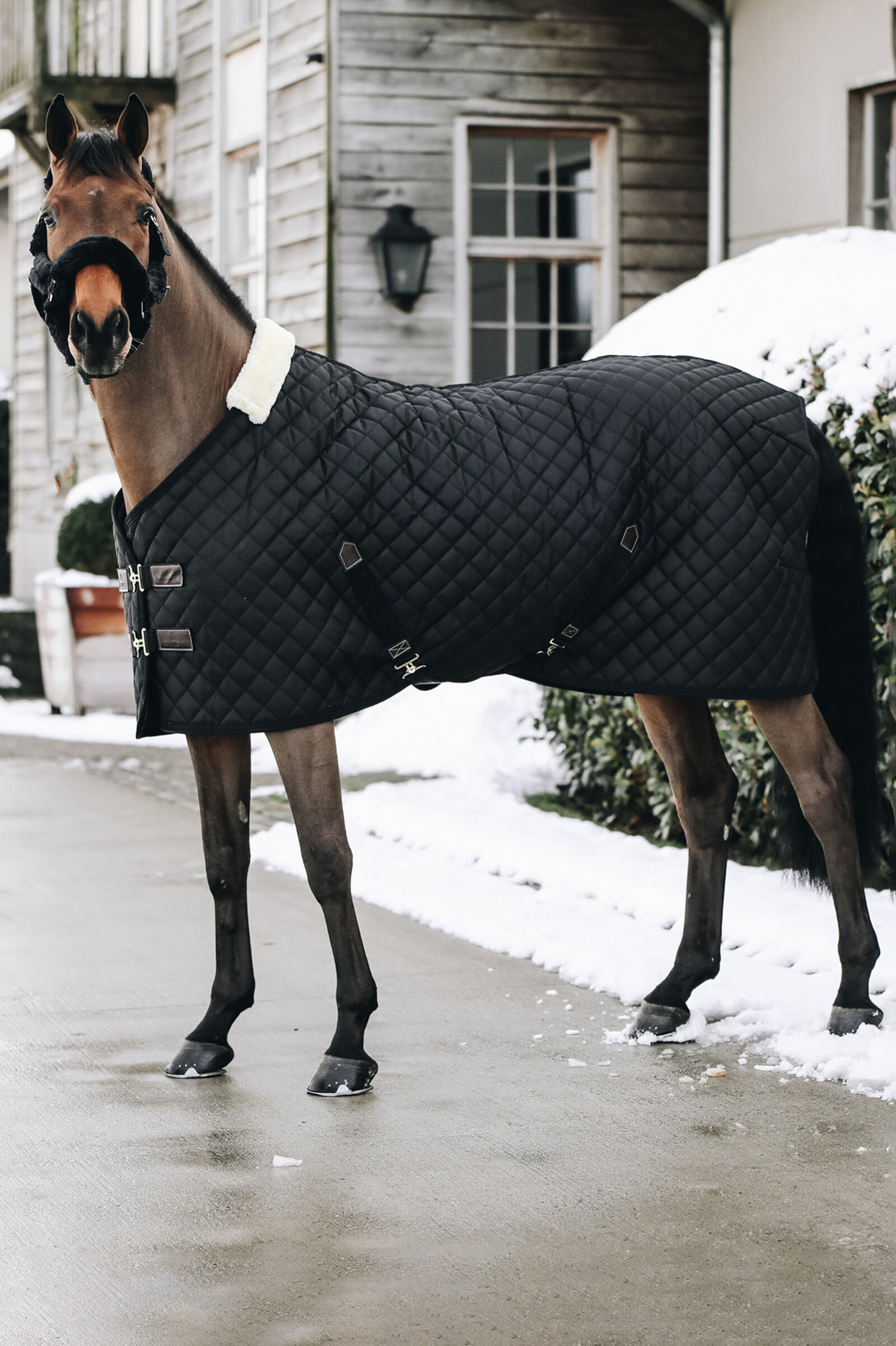 Kentucky Horsewear Stable Rug, 400g, Black, 155