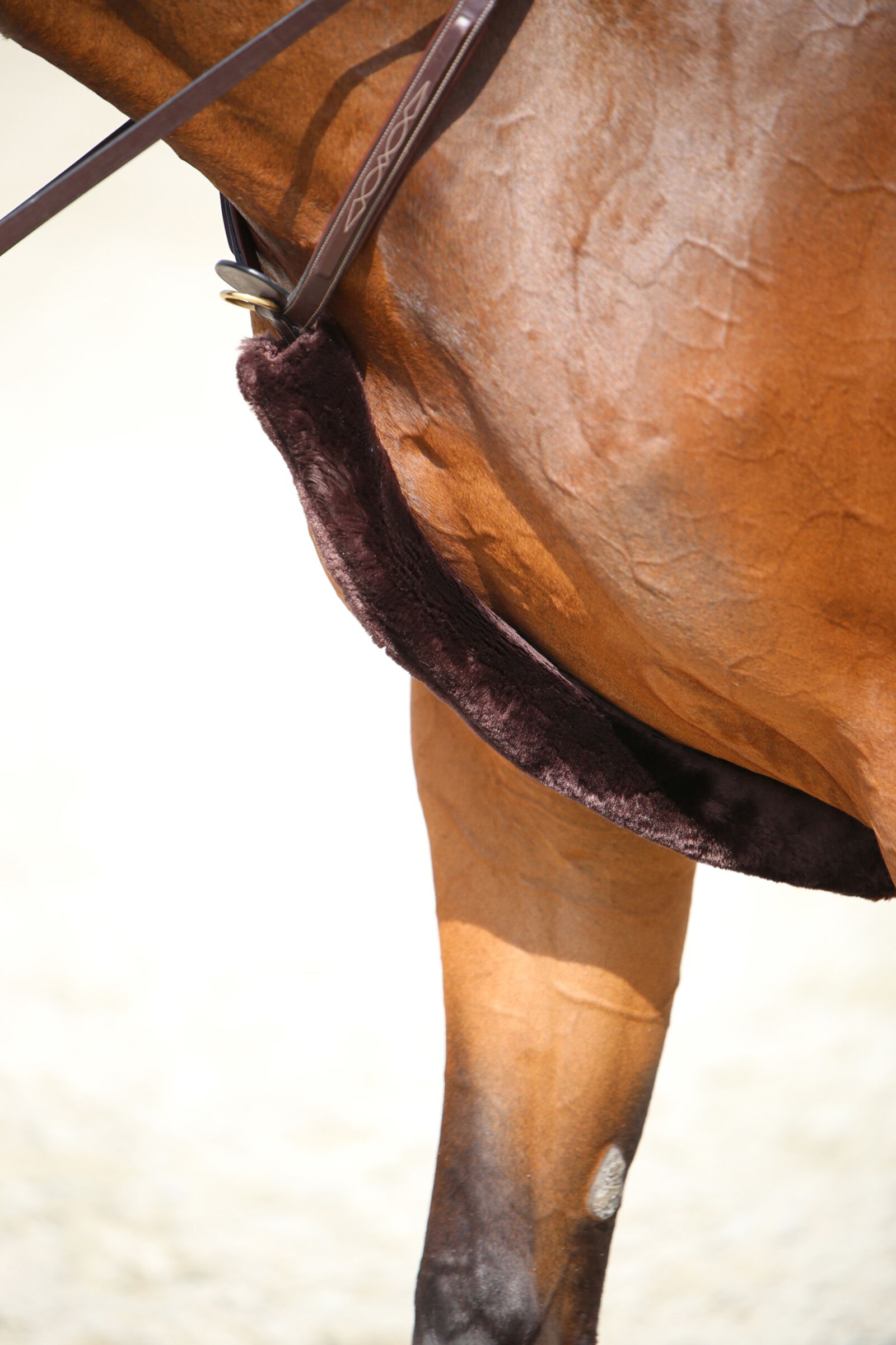 Kentucky Horsewear Lamsvel Borststuk Hoes