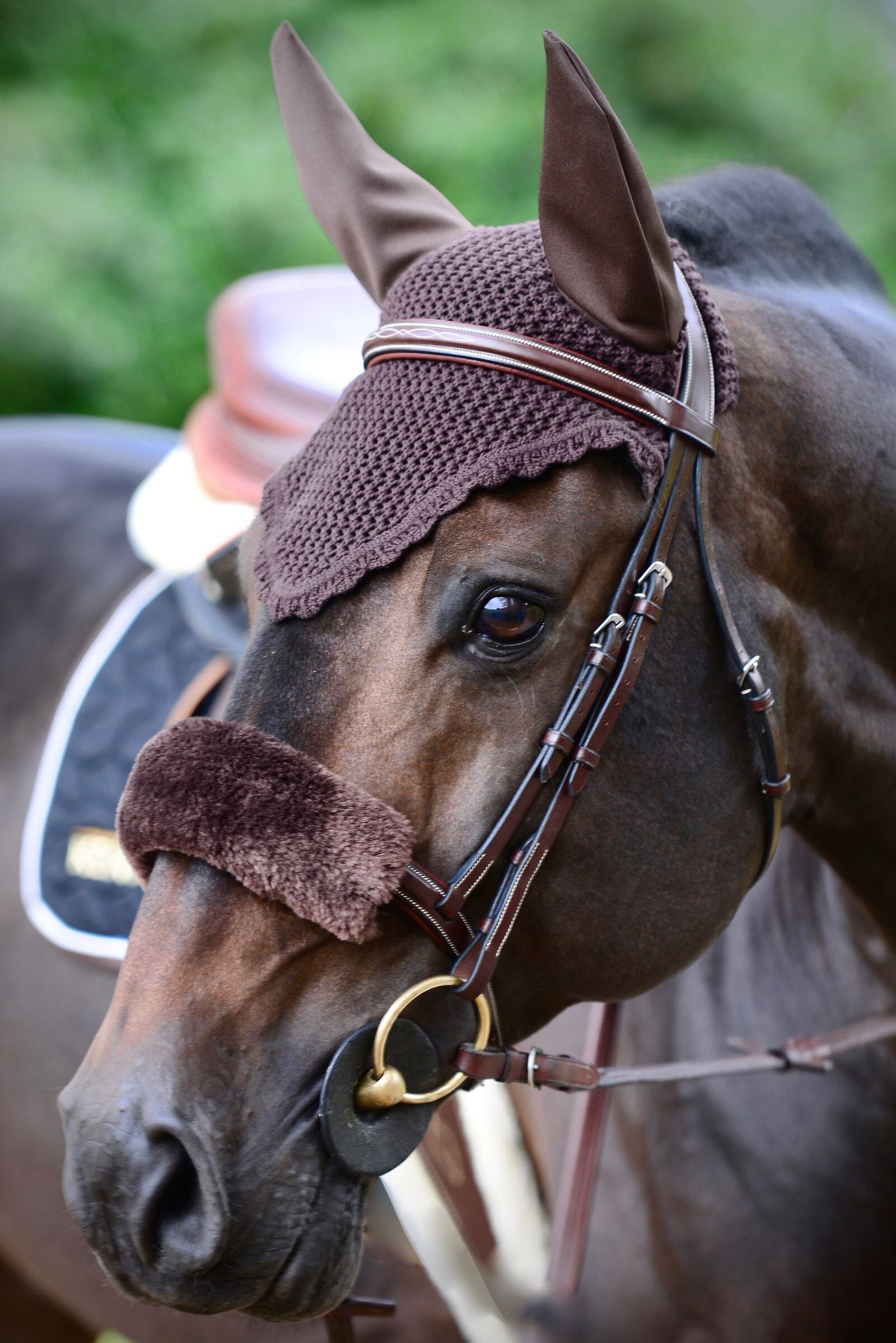 Kentucky Horsewear Lamsvel Neusriem hoes