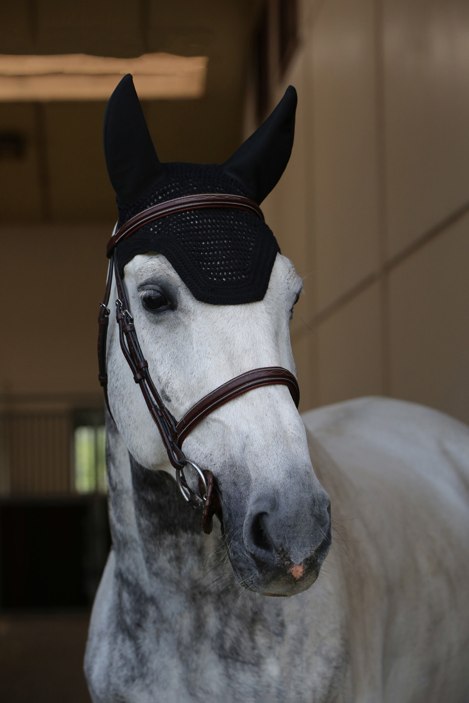 Kentucky Horsewear Fly Veil Wellington Soundless, Black, F