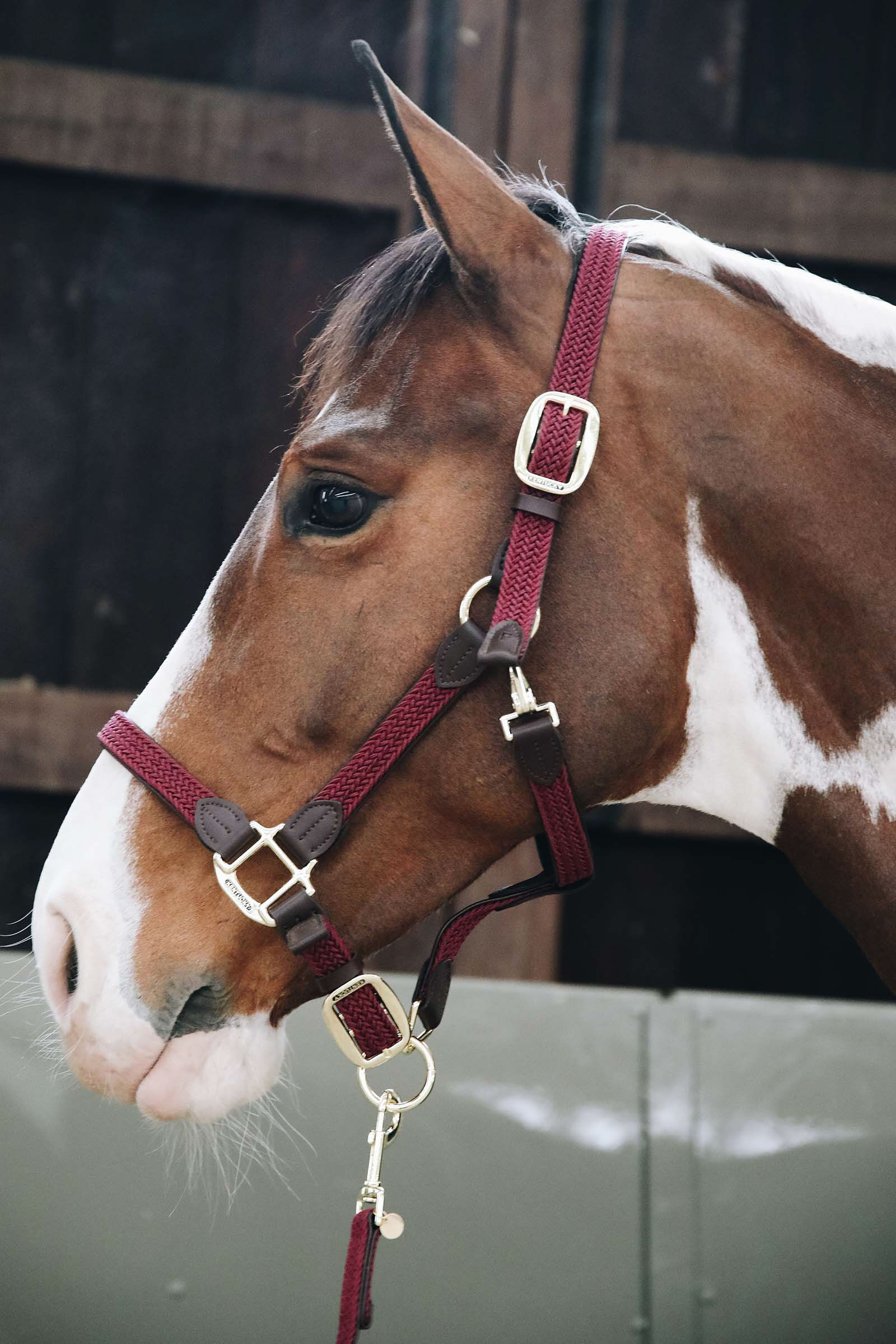 Kentucky Plaited Nylon Halter, Dark Red, F