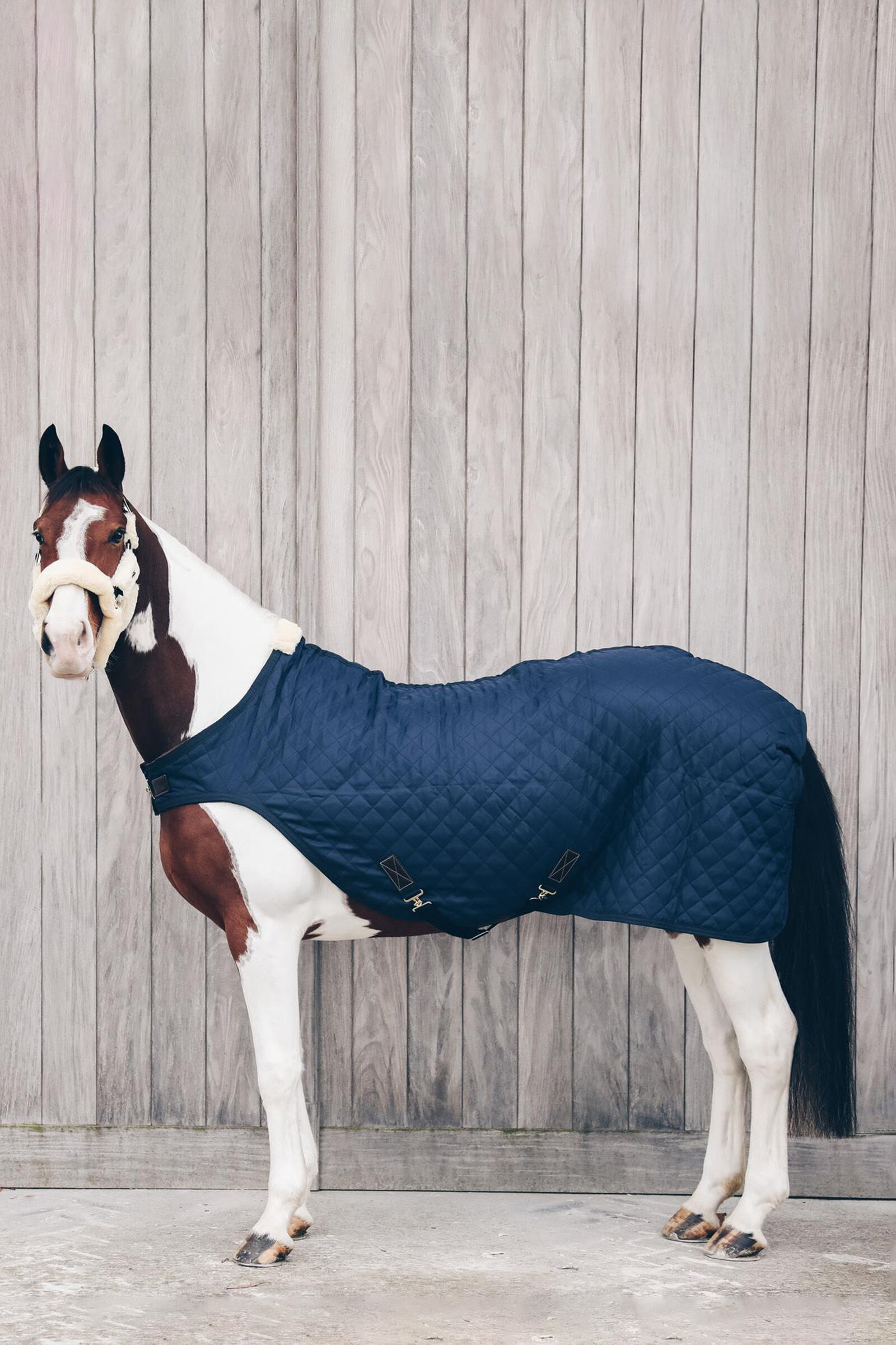 Kentucky Horsewear Walker Rug, 160g, DB/AB, 145