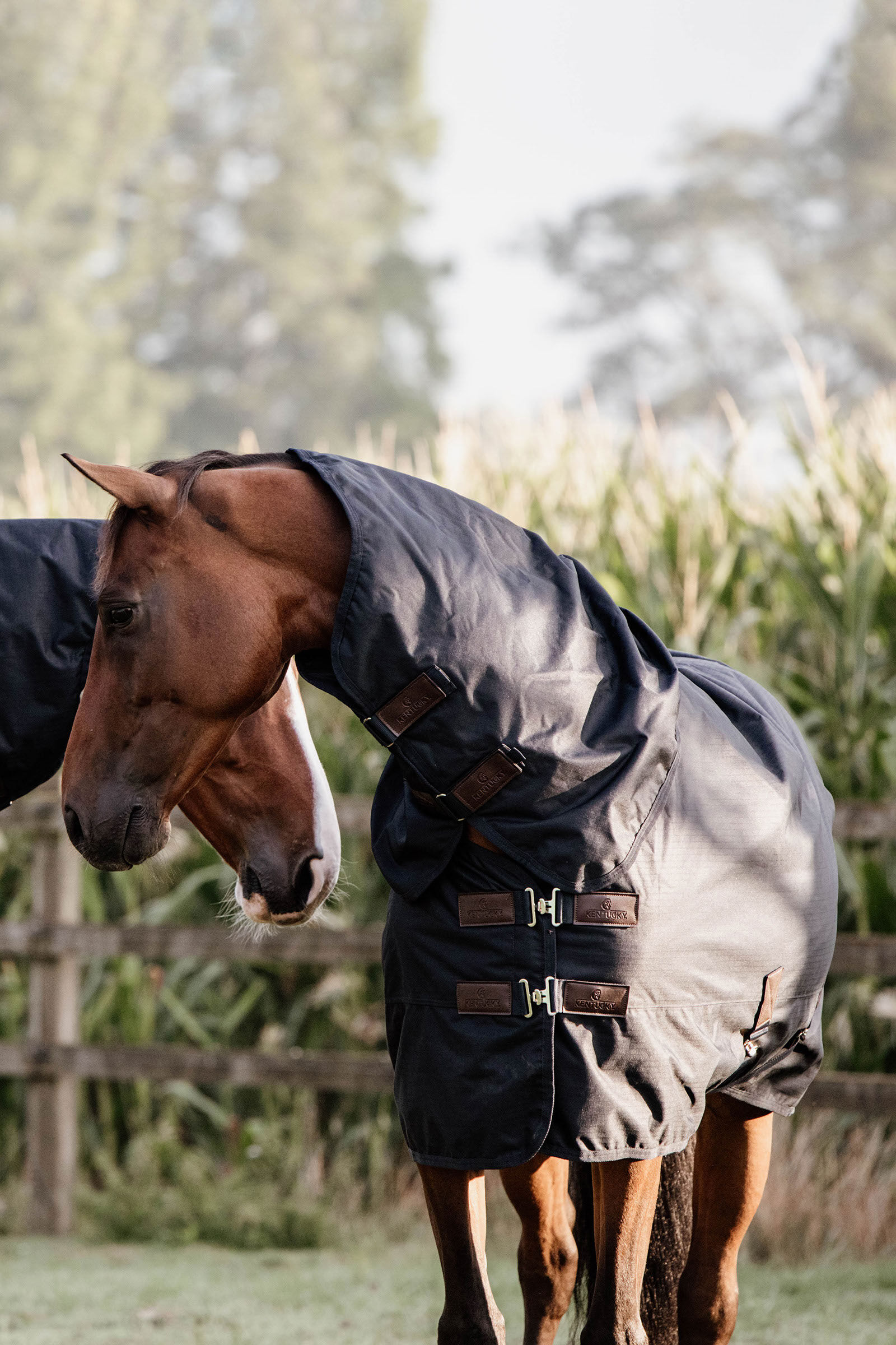 Kentucky Horsewear Turnout Rug All Weather Waterproof Classic, 0g, DB/AB, 140