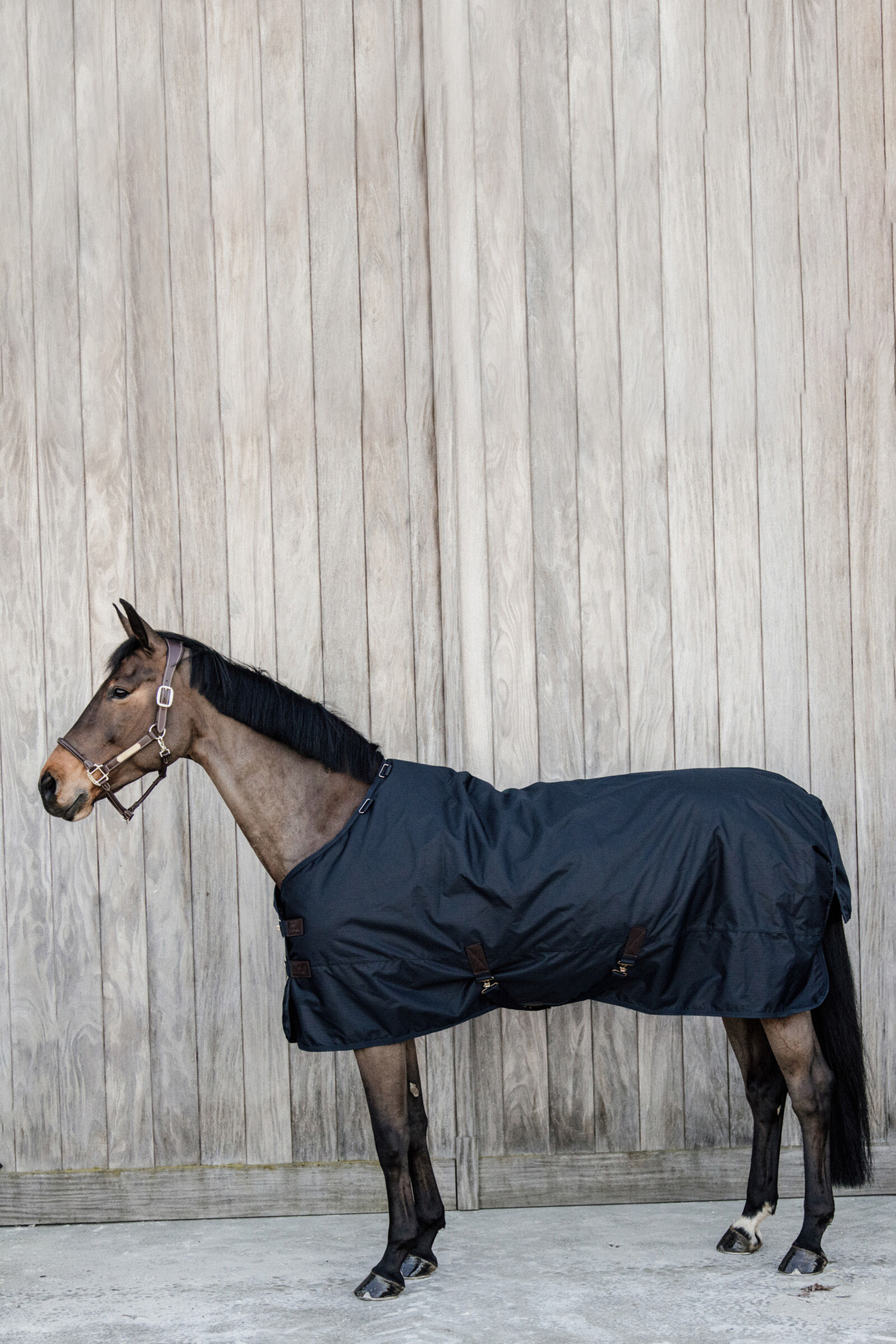 Kentucky Horsewear Turnout Rug All Weather Waterproof Classic, 50g, DB/AB, 160