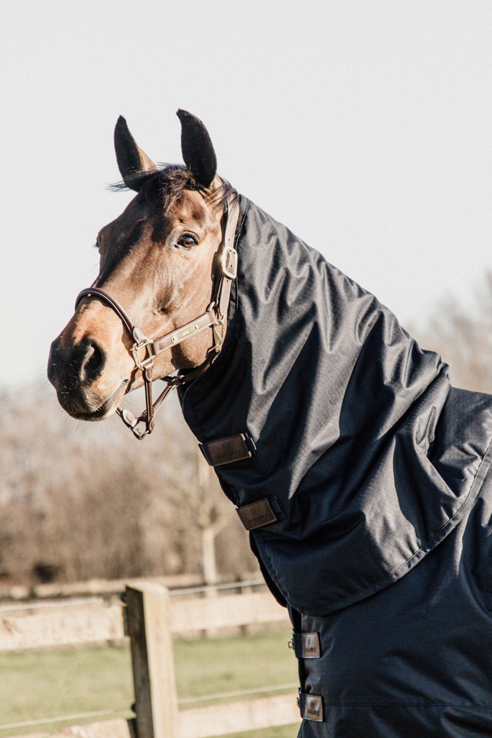Kentucky Horsewear Neck Outdoor, 0g, DB/AB, M