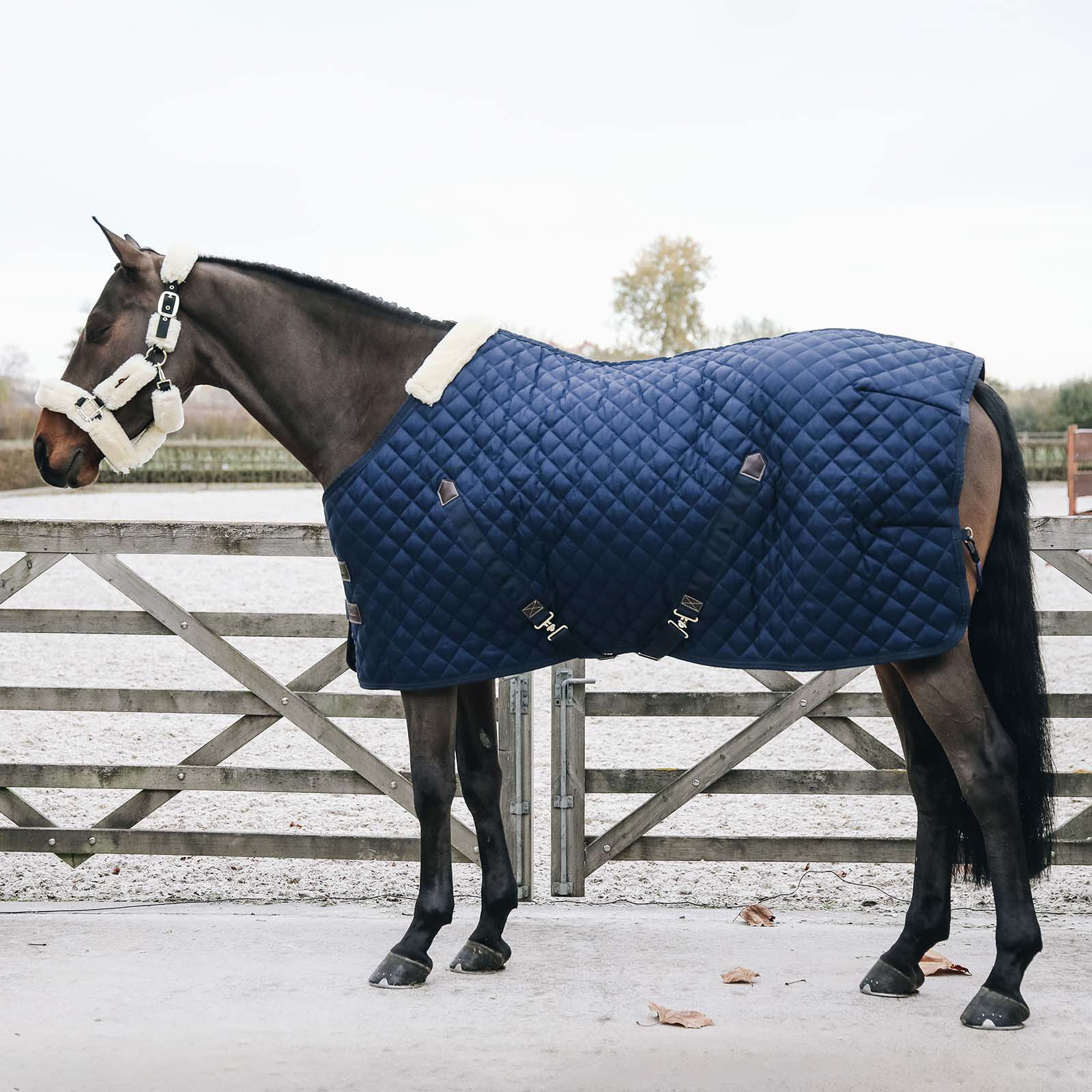Kentucky Horsewear Couverture d’écurie, 200g, DB/AB, 125