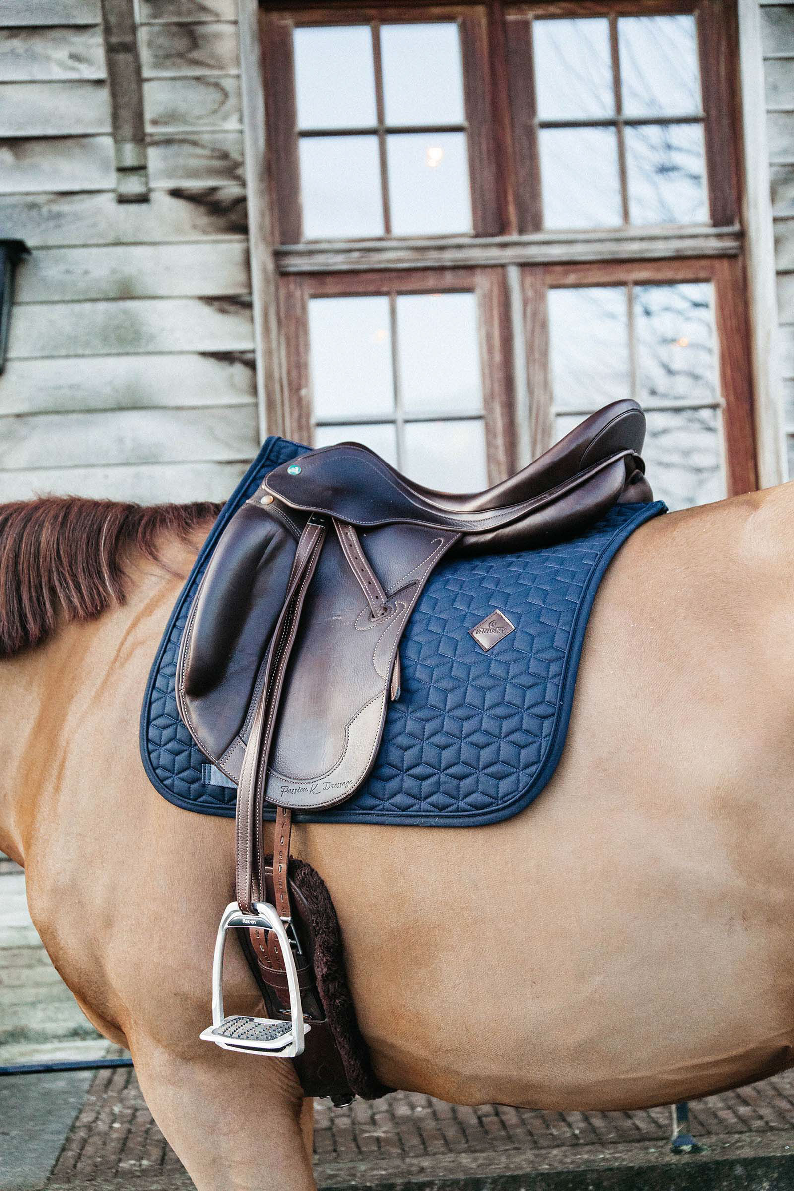 Kentucky Horsewear Basic Czaprak ujeżdżeniowy