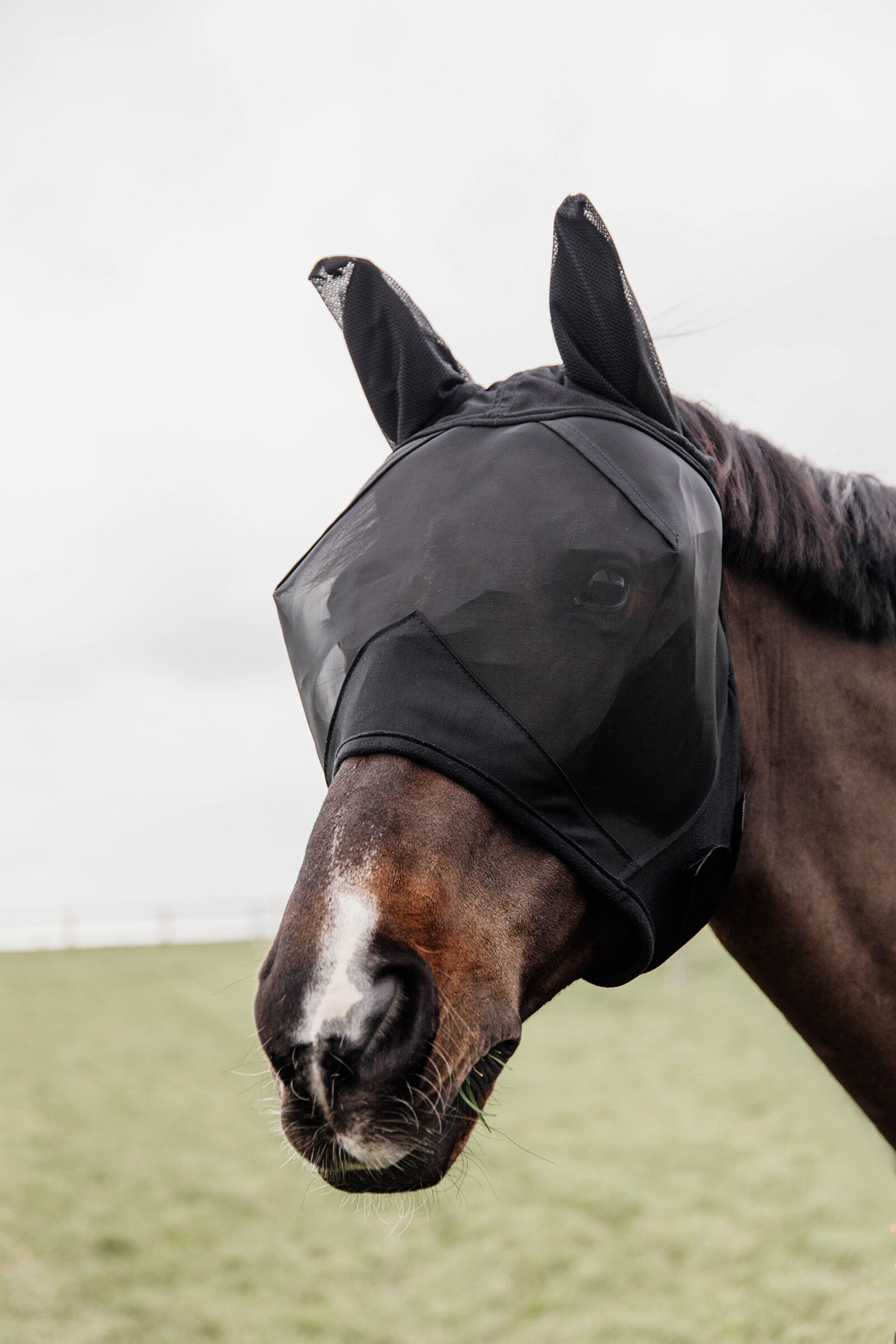 Kentucky Horsewear Fliegenmasken & Fliegenfransen