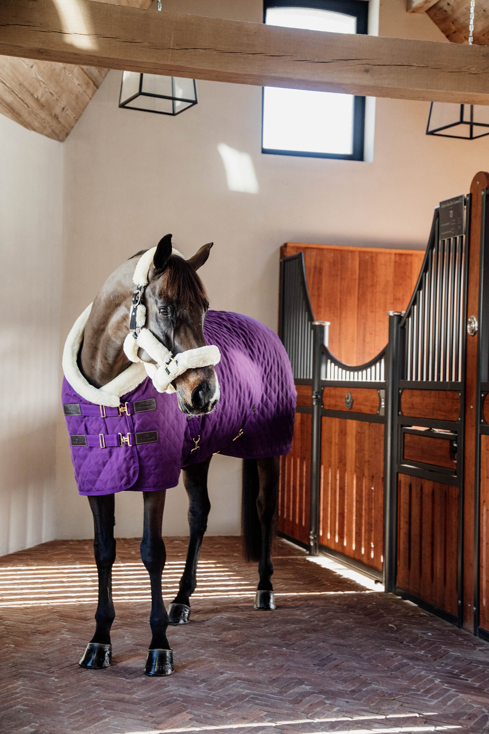 Kentucky Horsewear Showdeken 160g