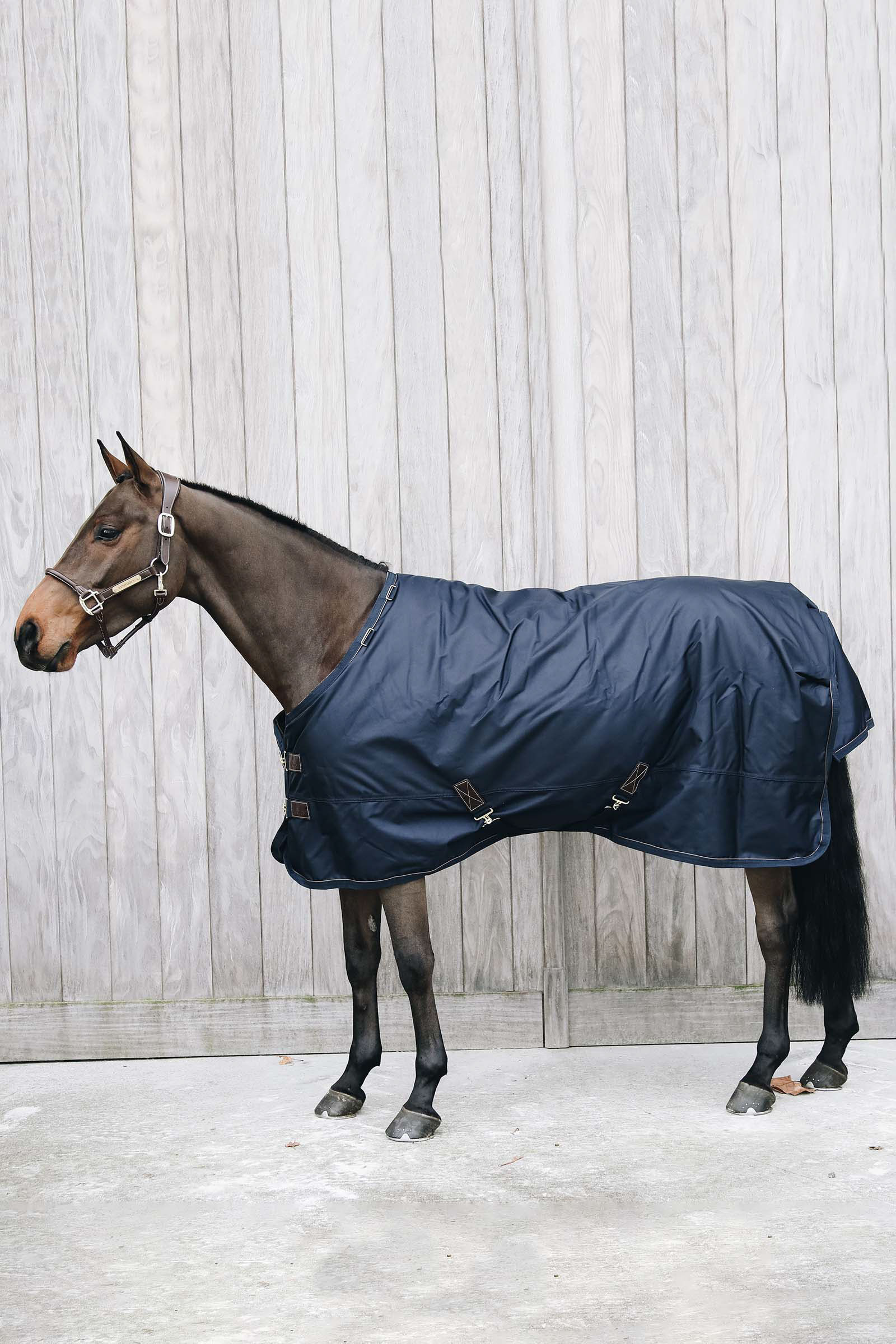 Kentucky Horsewear All Weather Waterproof Pro Turnout, 0g, DB/AB, 125