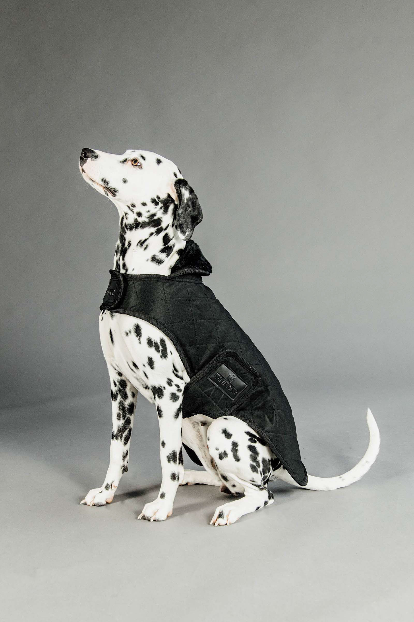 Kentucky Dogwear Hondendeken