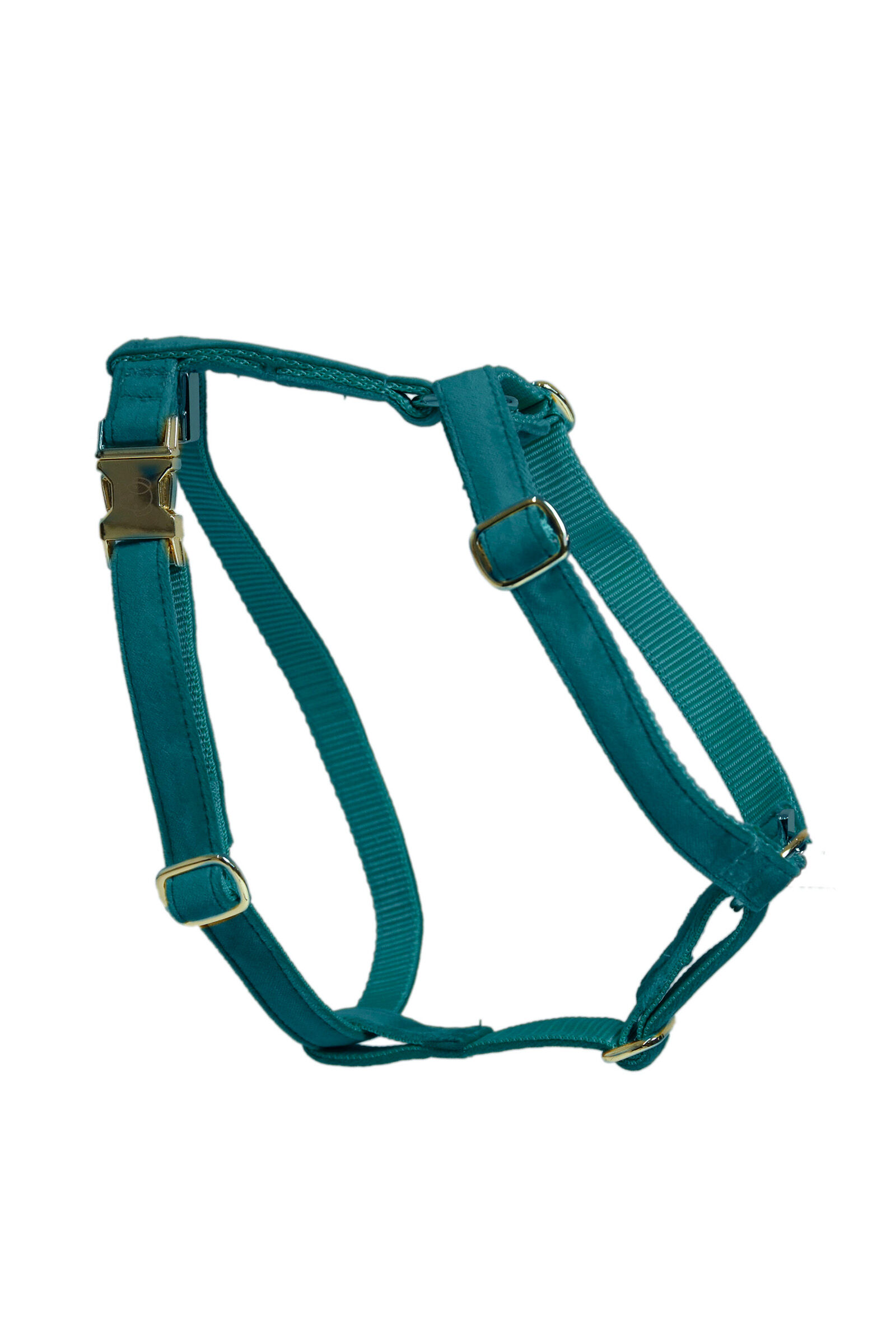 harnais pour chien velours loop Kentucky Dogwear, Emerald Green, M