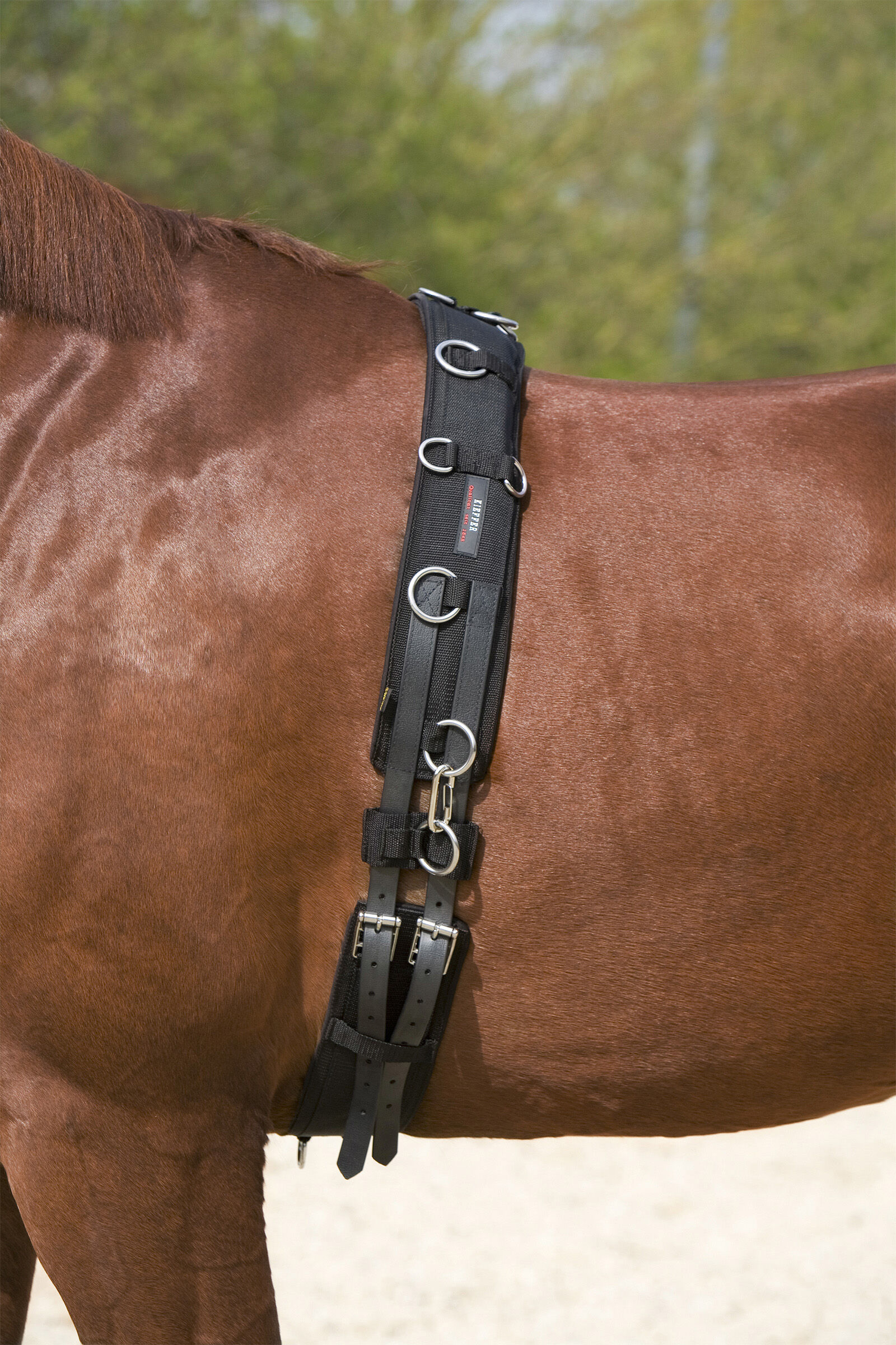Kieffer Lunging Girth, Black, F