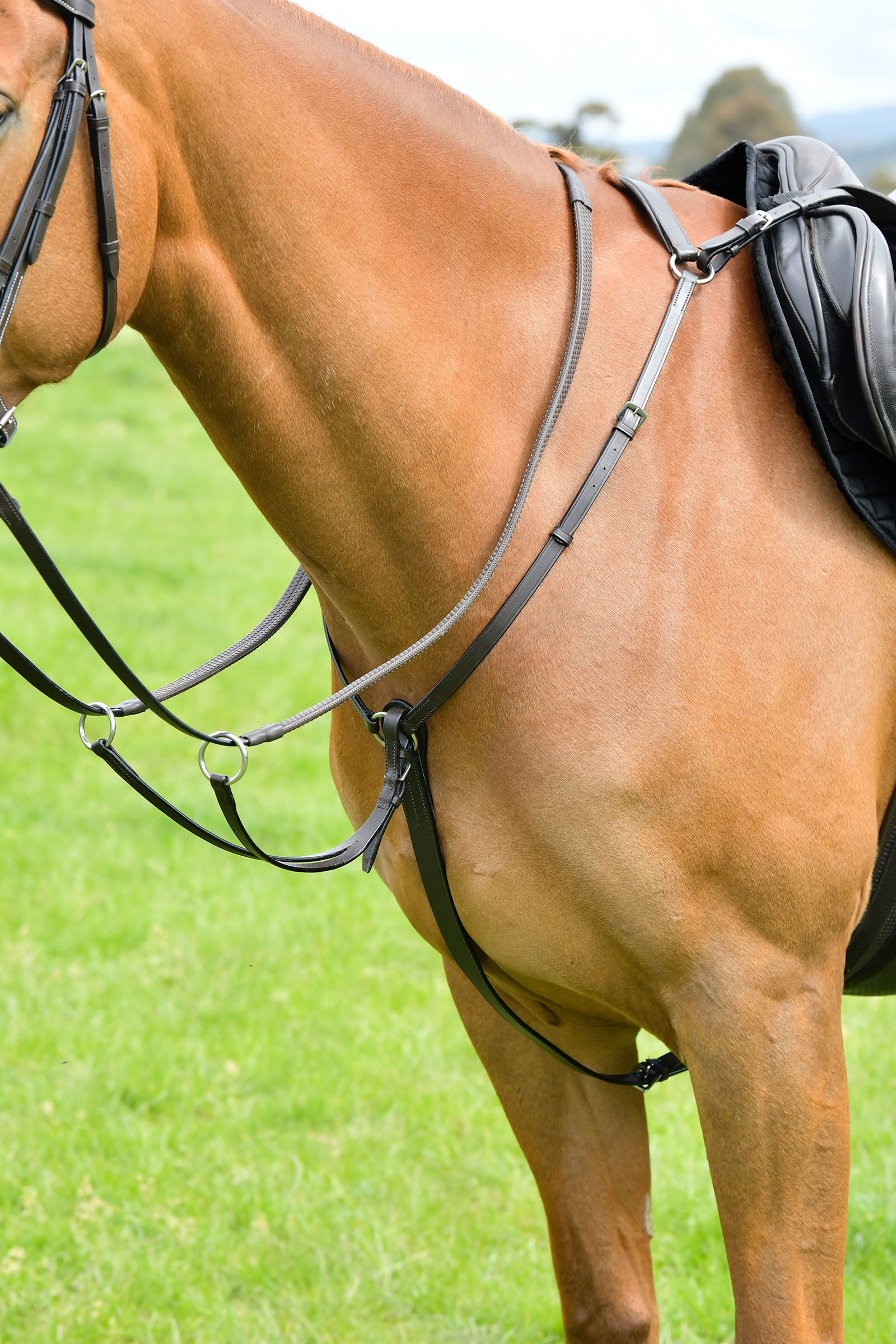 Kincade Classic collier de chasse 3 points avec martingale à anneaux coulissants