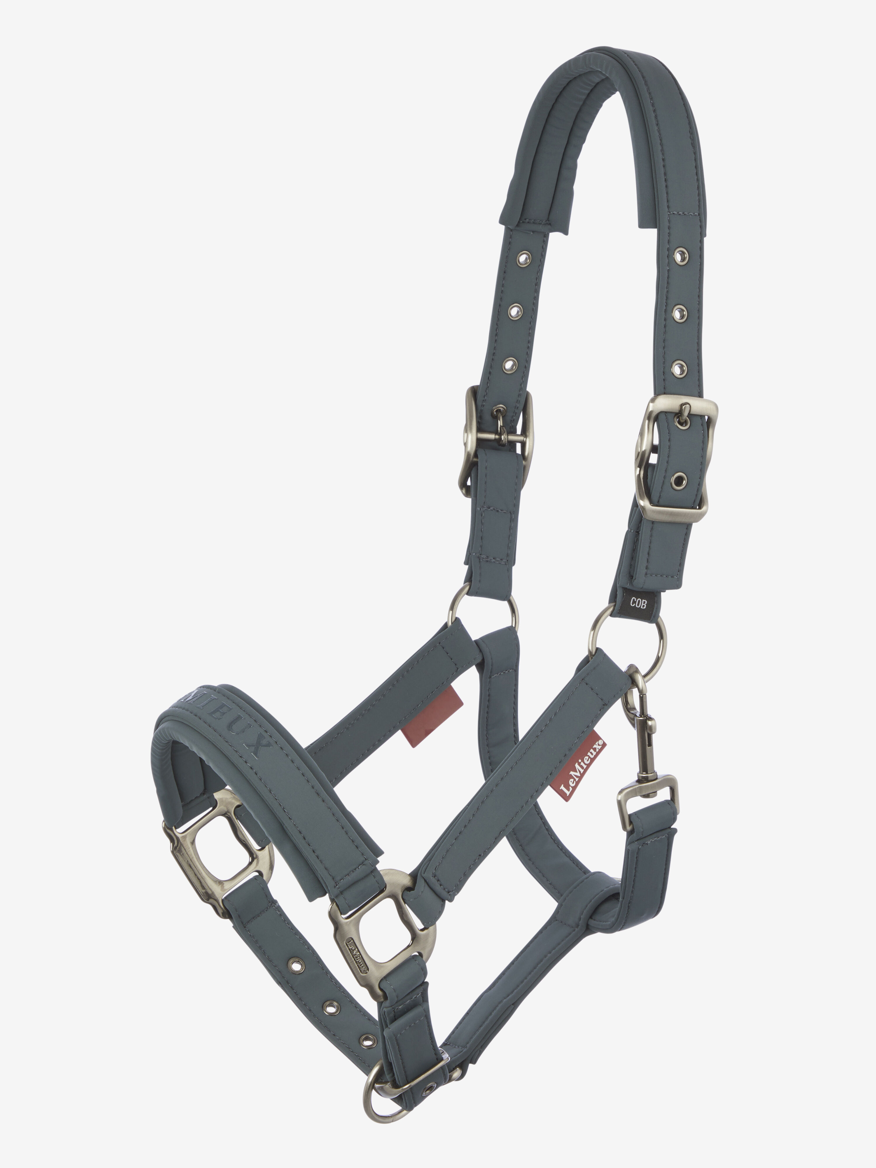 LeMieux Halters