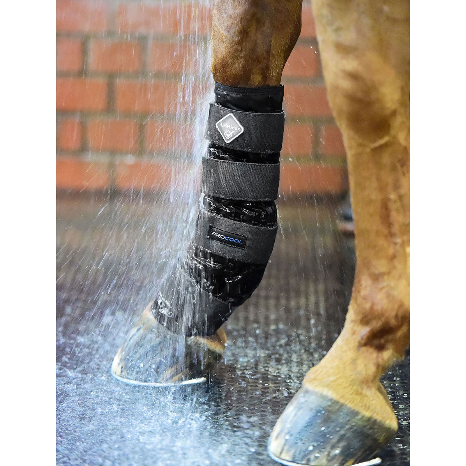 LeMieux Cold Water bandage