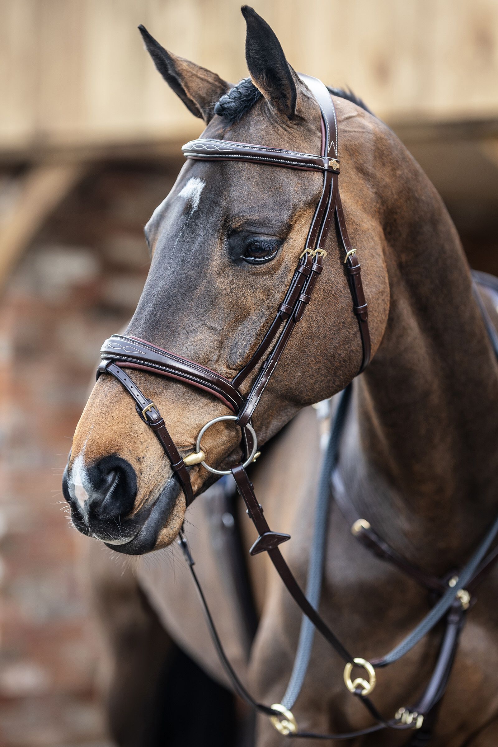 LeMieux Competiton Flash Bridle, Havana Brown, P